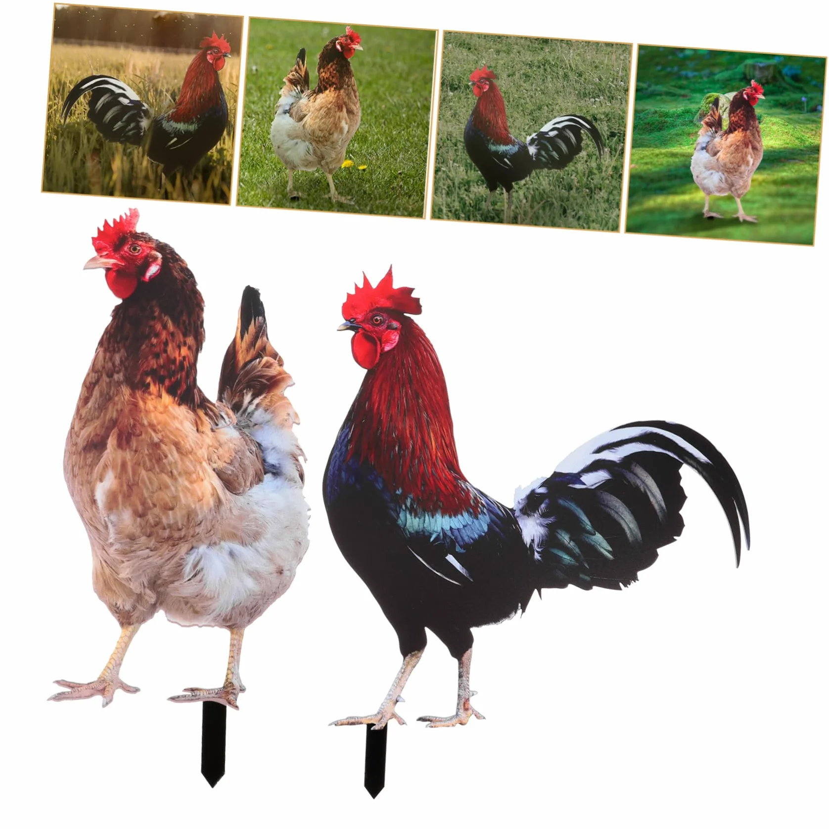 BESPORTBLE 2 dekoracyjne ogrodowe dekoracja ogrodowa kogut ozdobny akryl podwórko dla kogutów dekoracje kura ozdoby stoczni do ogrodu ozdoba trawnika miniaturowy pisklę buty rzeźba