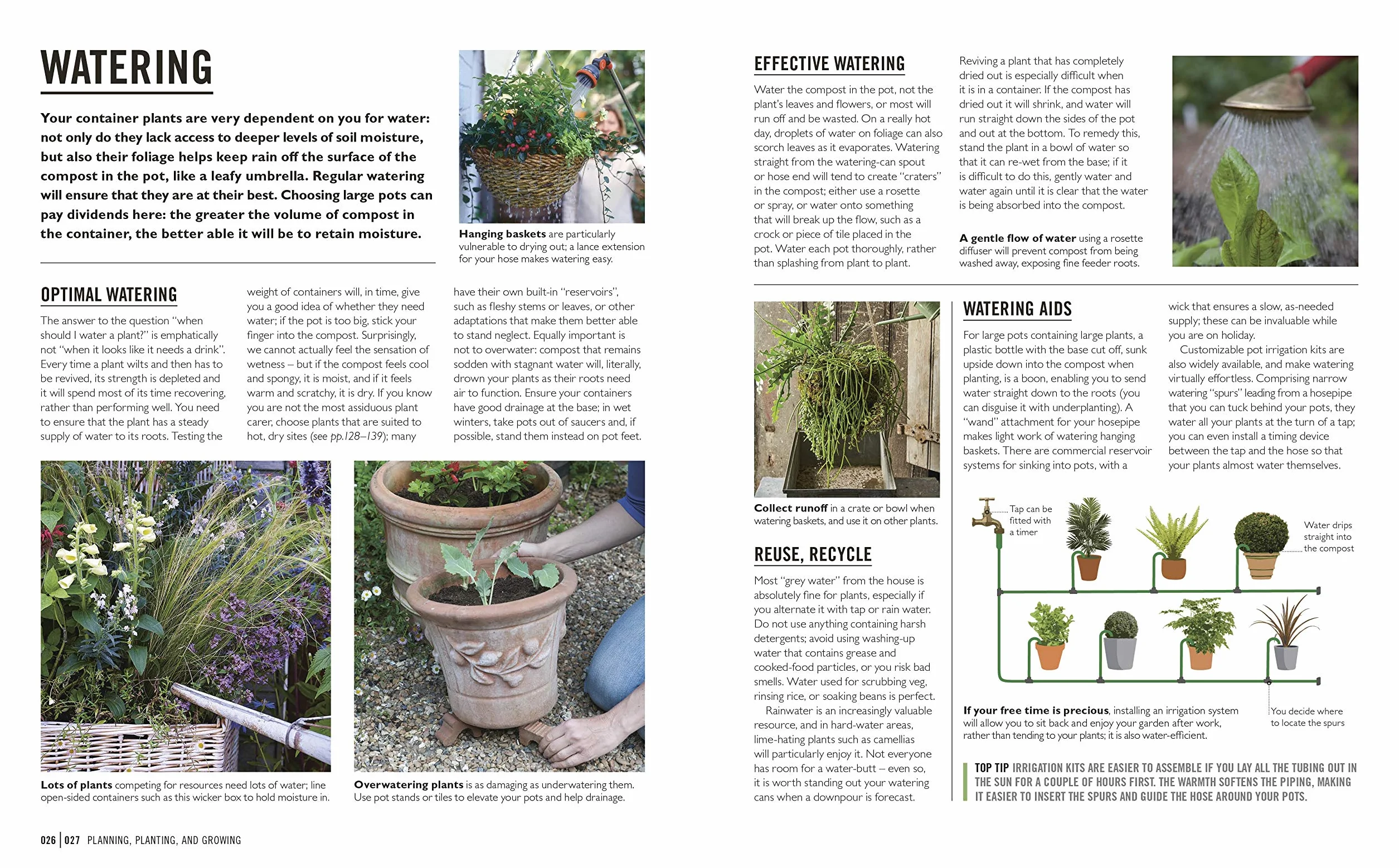 Grow Containers: Essential Know-how and Expert Advice for Gardening Success