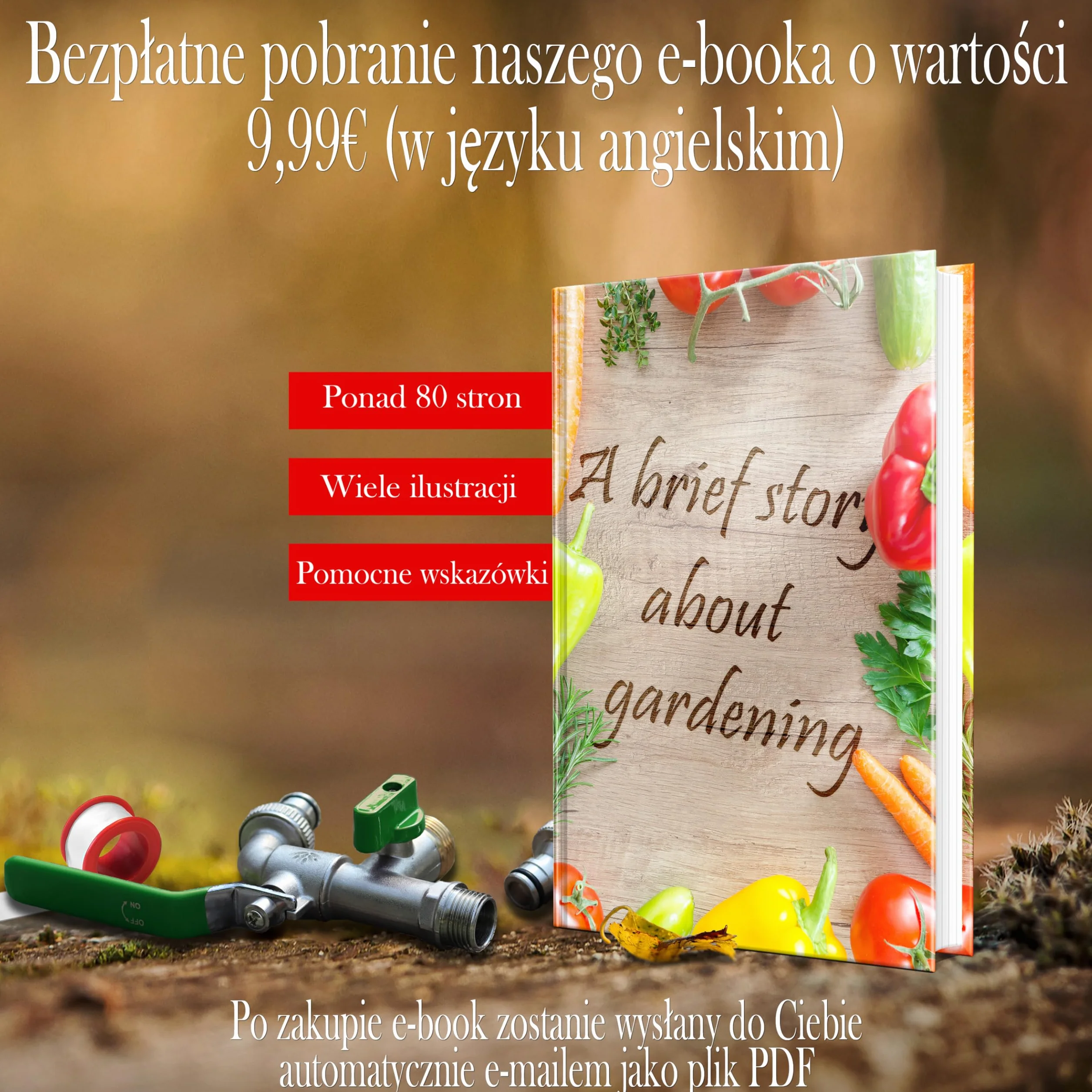 SHYNE Premium 3/4 cala podwójny kran wykonany z mosiądzu nierdzewnej + 2X darmowe połączenia wężowe + Ebook | do ogrodu, pralka, beczka deszczowa
