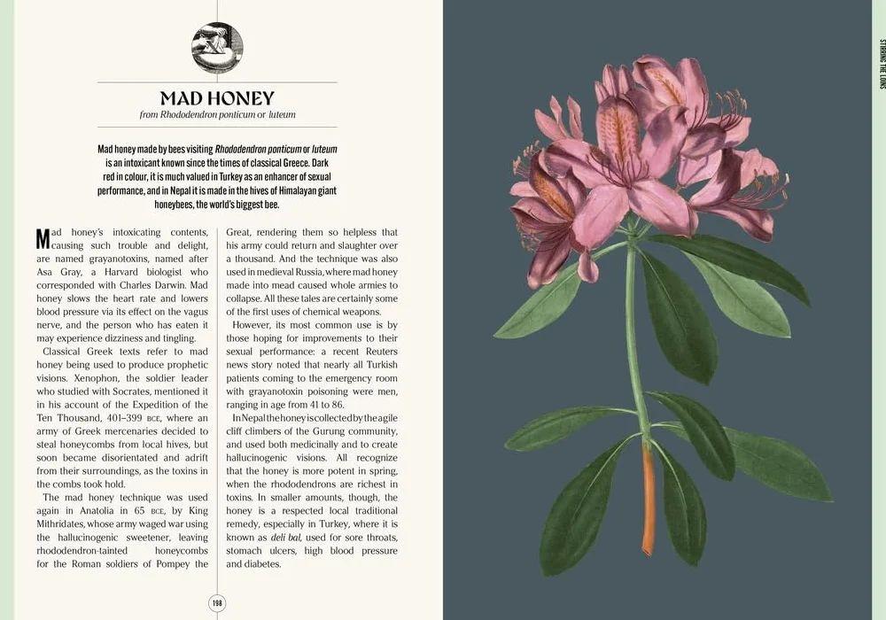 Kew: The Apothecary's Garden: The Science and Mythology of Medicinal Plants
