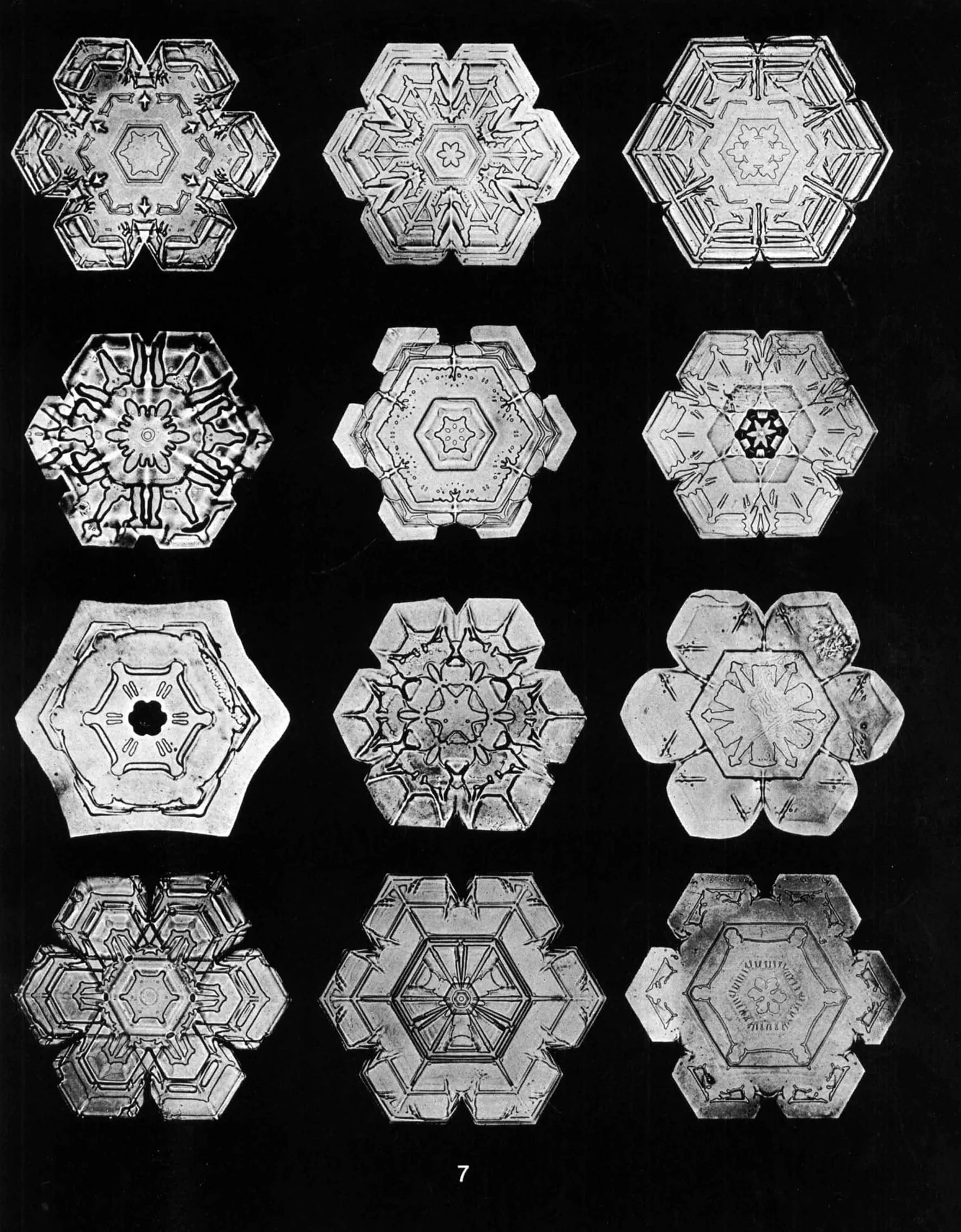 Snowflakes in Photographs
