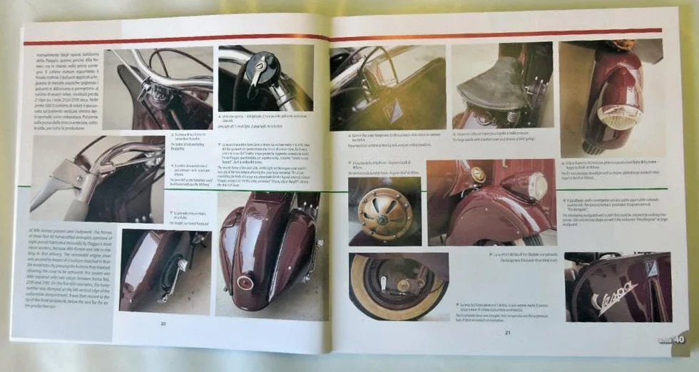 Vespa. Guida illustrata all'identificazione-Illustrated guide to the identification