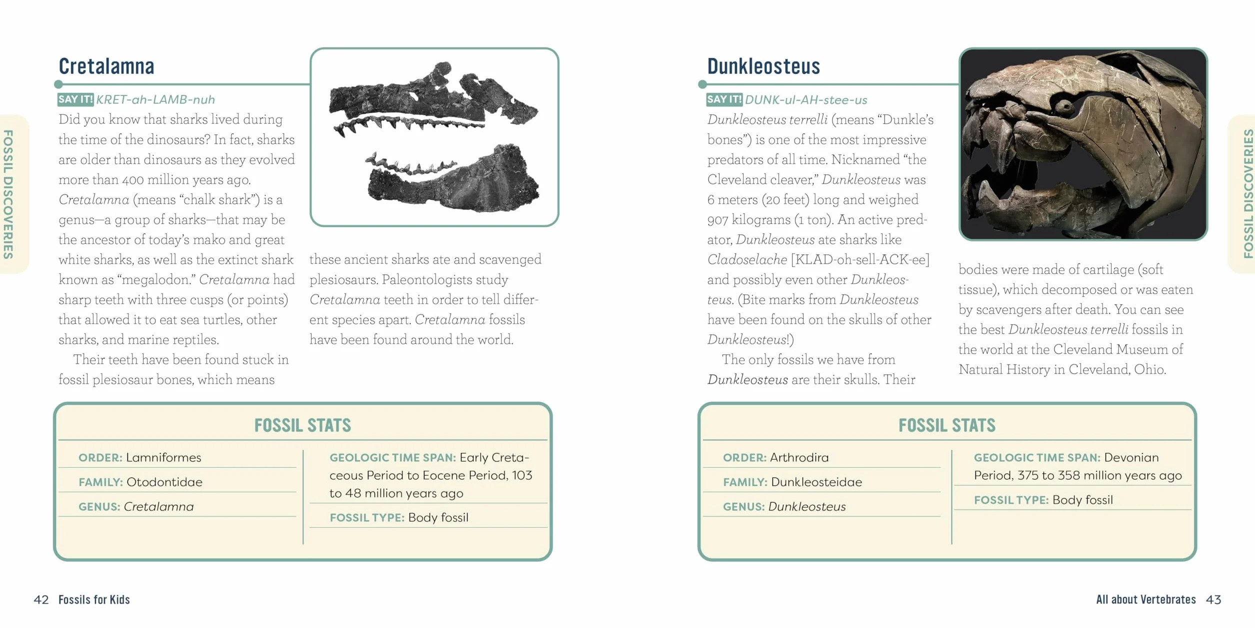 Fossils for Kids: A Junior Scientist's Guide to Dinosaur Bones, Ancient Animals, and Prehistoric Life on Earth