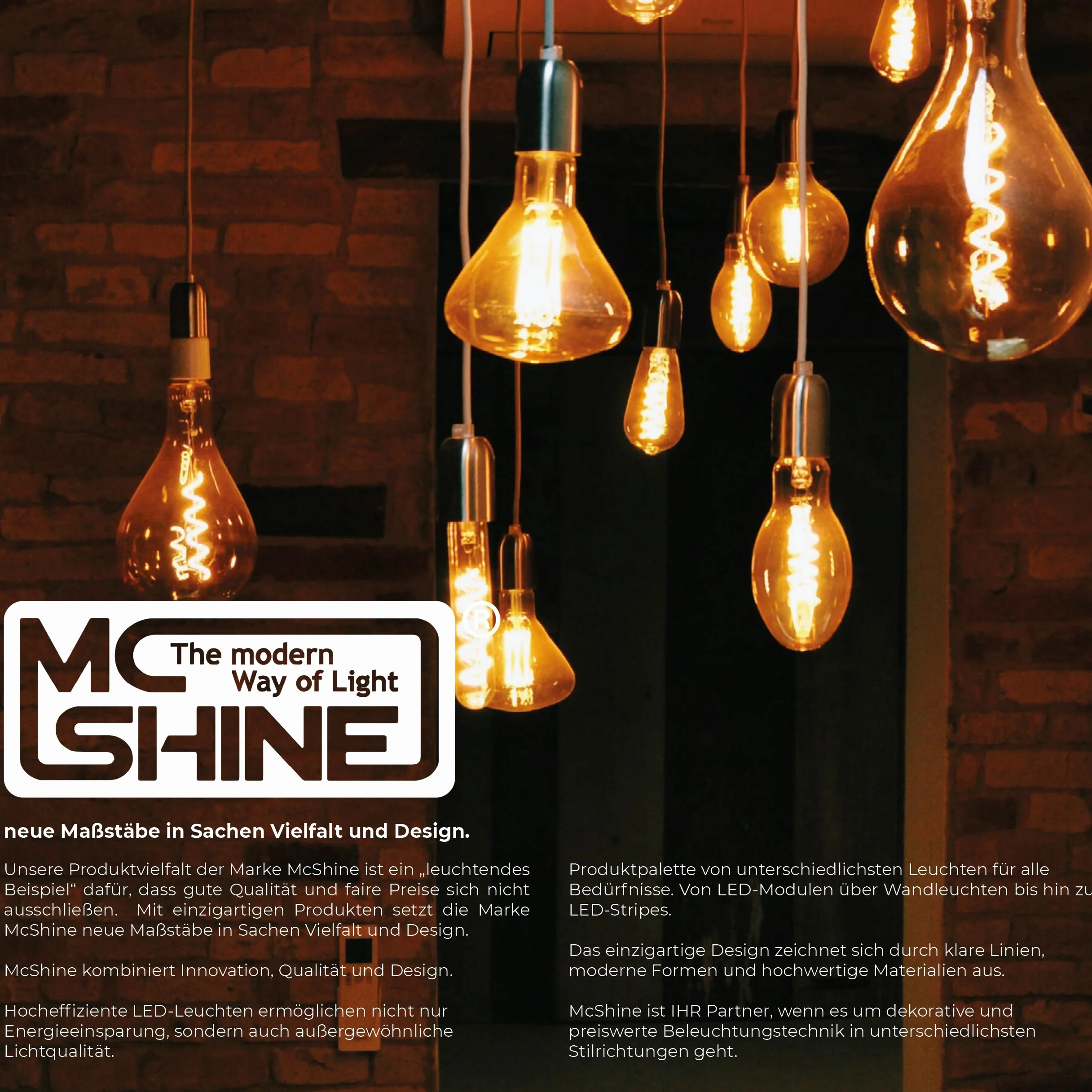McShine - Oprawka lampy, E14 z kablem o długości 1,5 m, włącznikiem i wtyczką euro, szybkie oświetlenie wszędzie – idealna do np. prac renowacyjnych