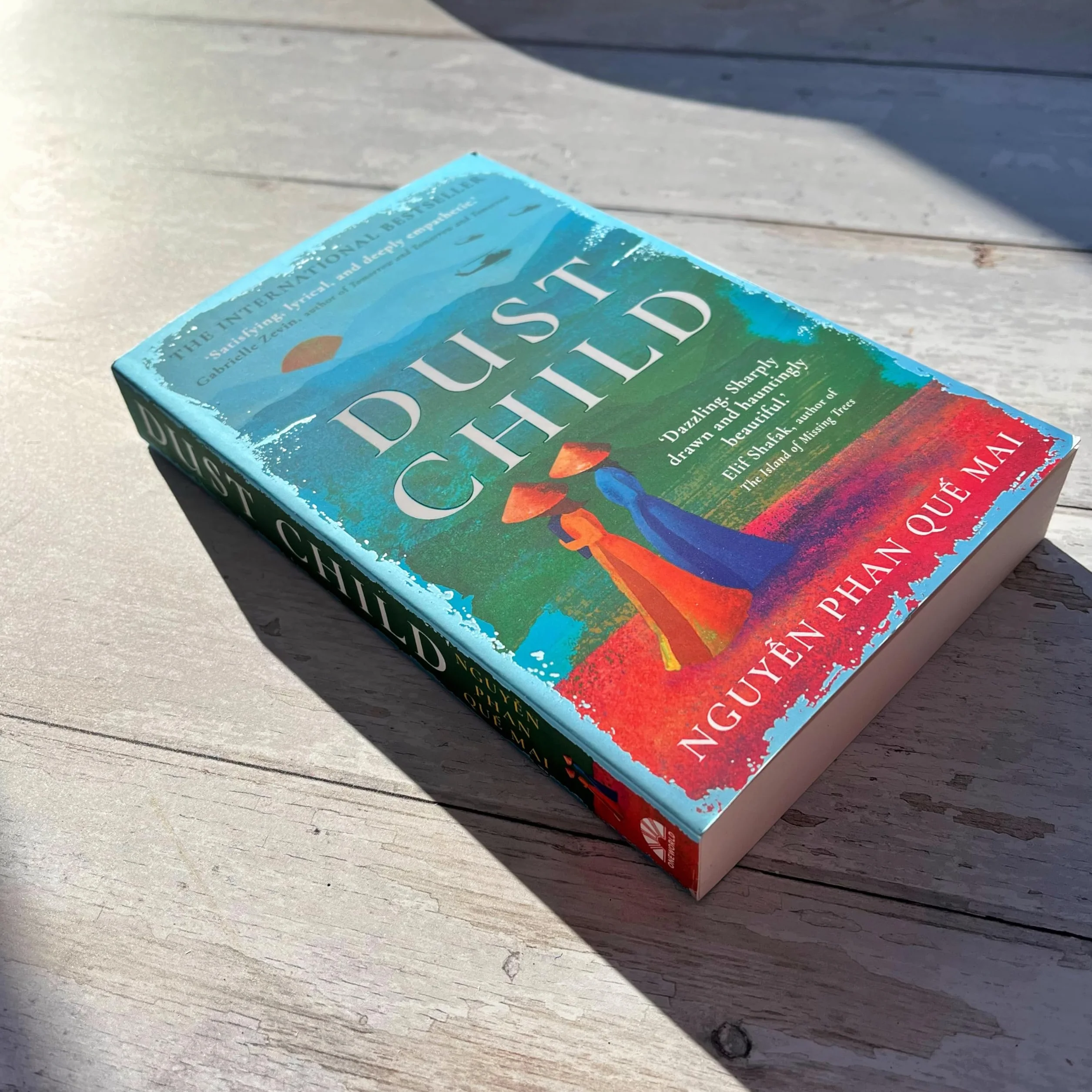 Dust Child: The International Bestseller