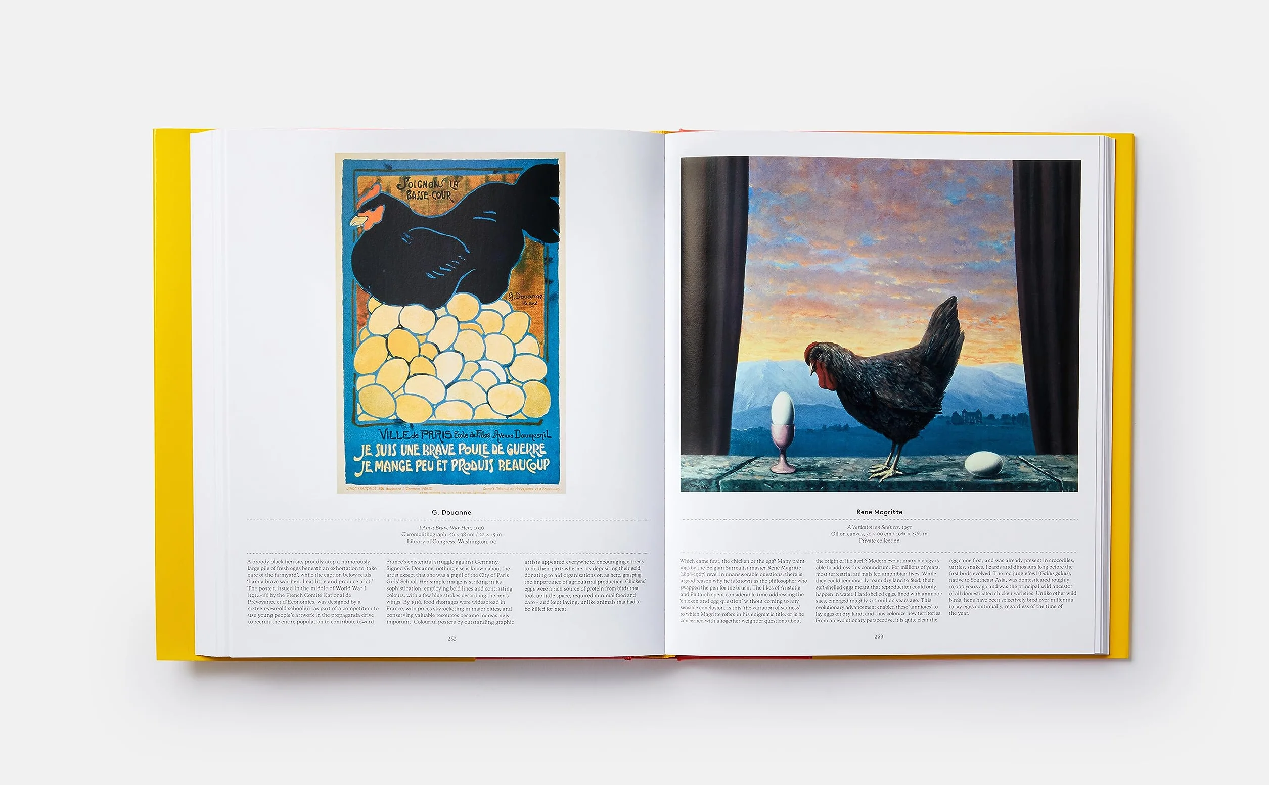Bird: Exploring the winged world
