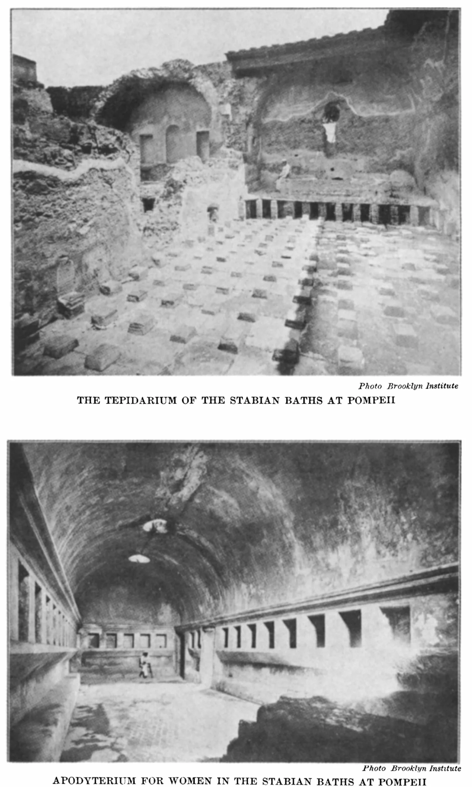 The Ten Books on Architecture: Volume 1