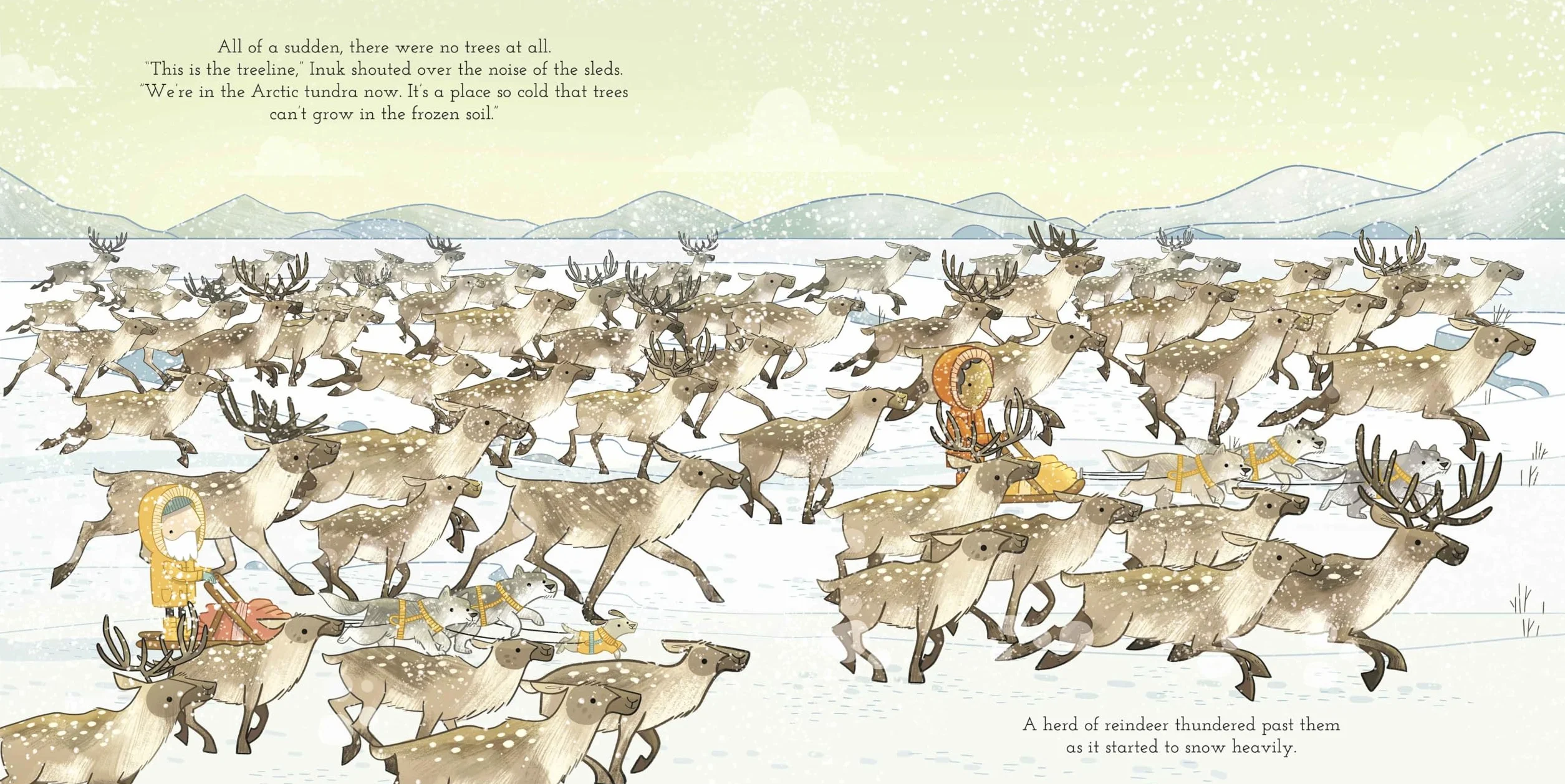 Adventures with Finn and Skip: Arctic