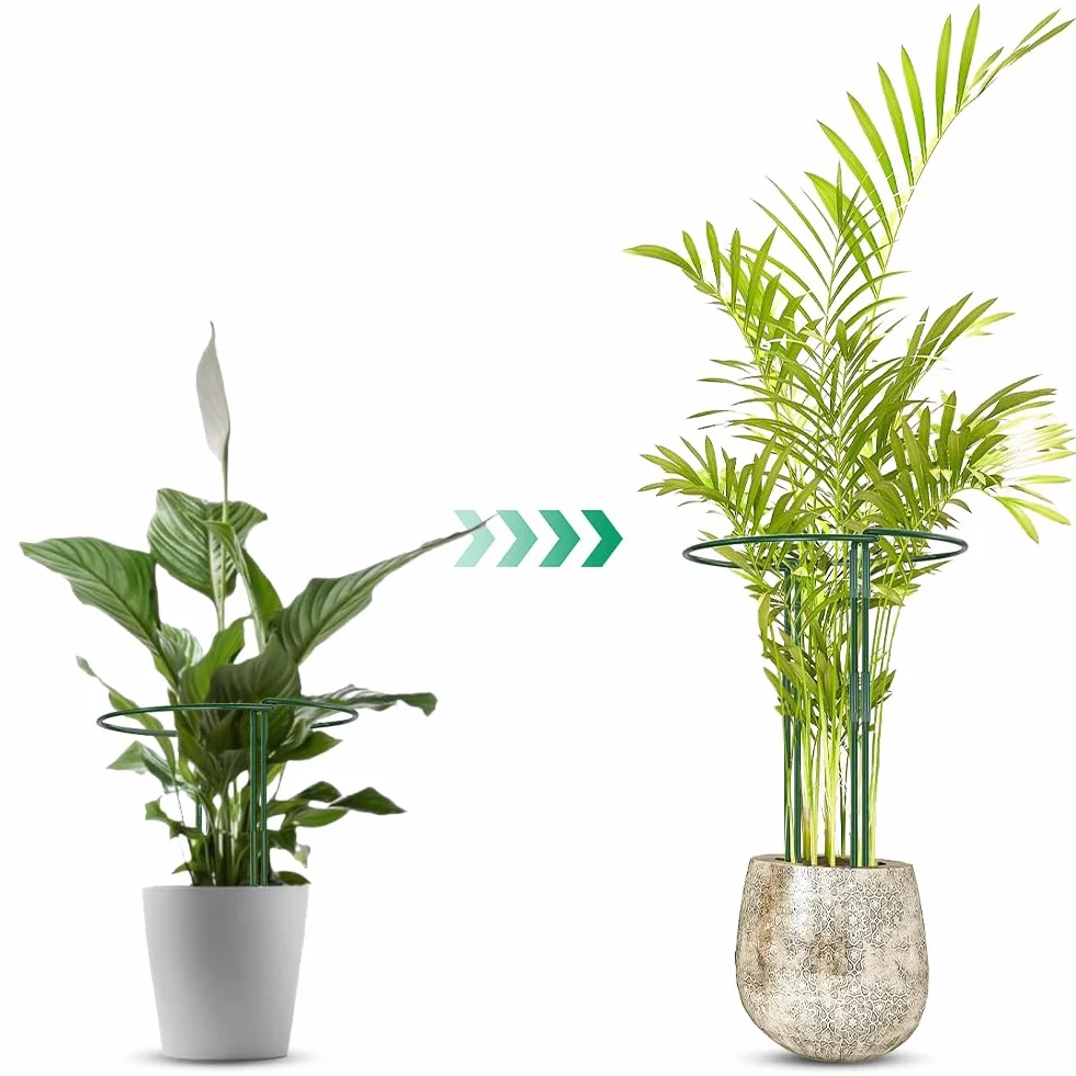 OFFCUP Pałki podtrzymujące rośliny, 6 szt., 20 x 35 cm, metalowe wsporniki ogrodowe, półokrągła klatka pierścieniowa do warzyw, pomidorów, piwonii, róż, hortensji, kwiatów