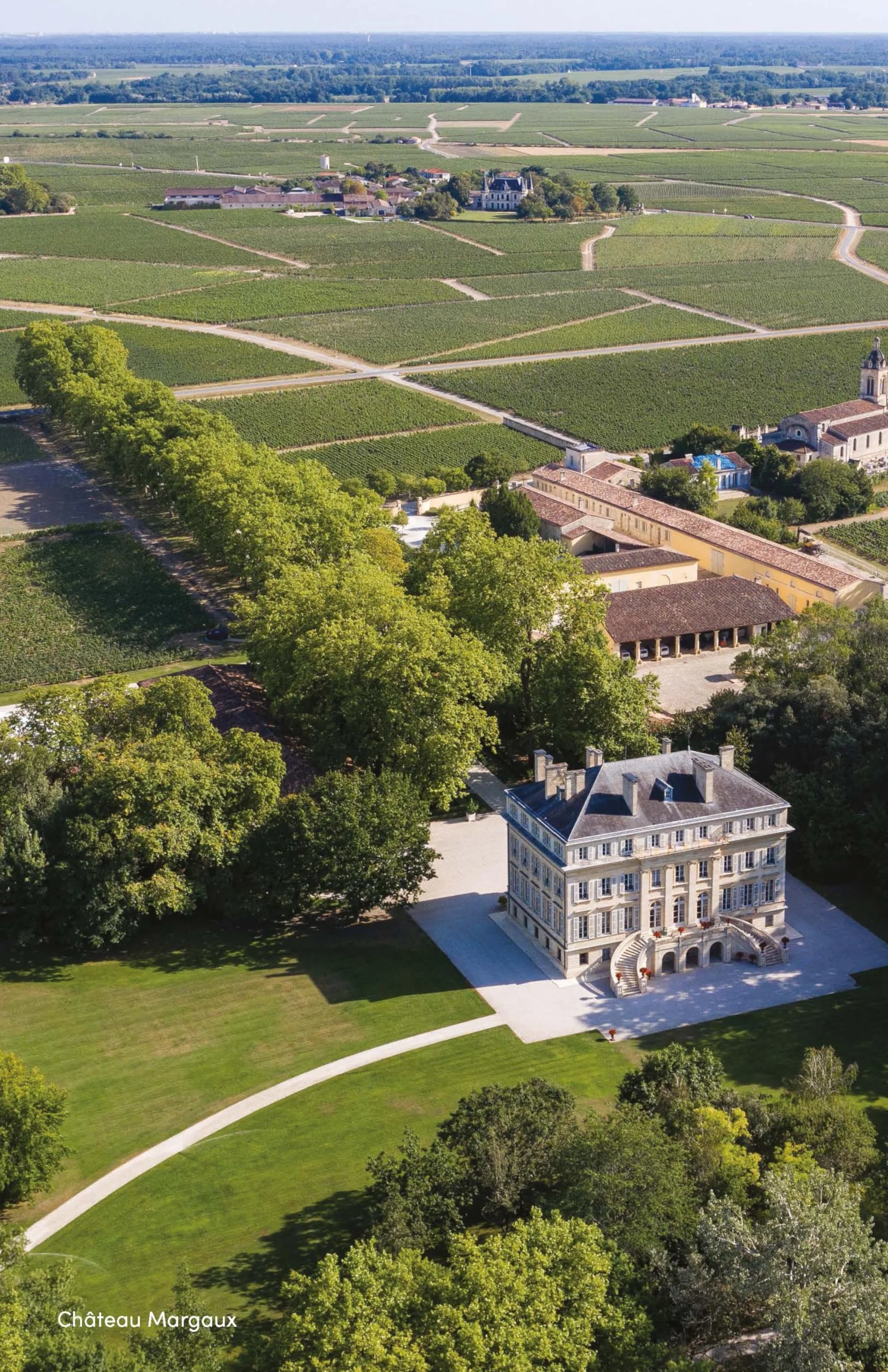 Bordeaux: The Smart Traveller's Wine Guide /anglais: A Pocket Guide to Bordeaux for the Wine-Interested Tourist