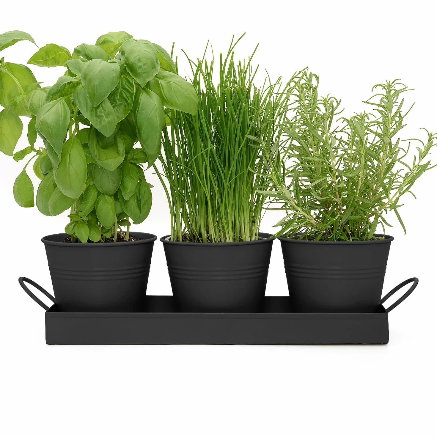 CKB LTD Zestaw 3 metalowych doniczek na zioła z tacą ociekową, tradycyjny parapet wewnętrzny, kolorowe pudełko na rośliny do kuchni, do uprawy własnych ziół do gotowania (czarne)