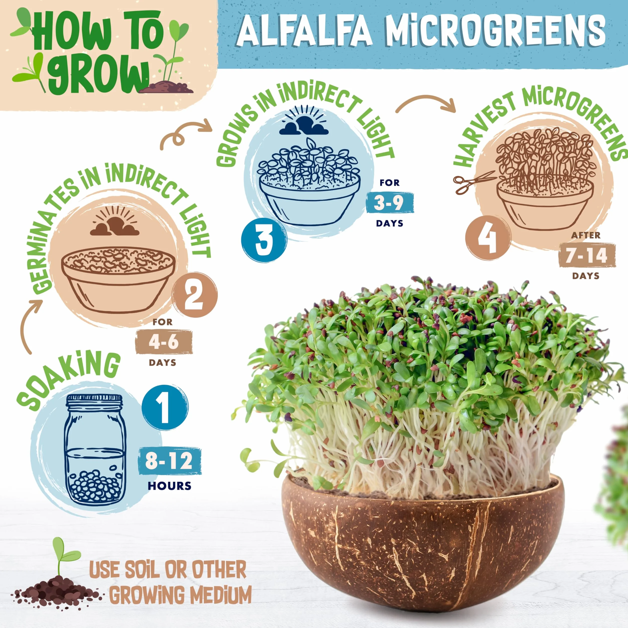 ZenGreens® - Organiczne nasiona lucerny - Wybierz pomiędzy 10, 200 g i 500 - nasiona lucerny o zdolności kiełkowania ponad 97% - nasiona lucerny kiełki