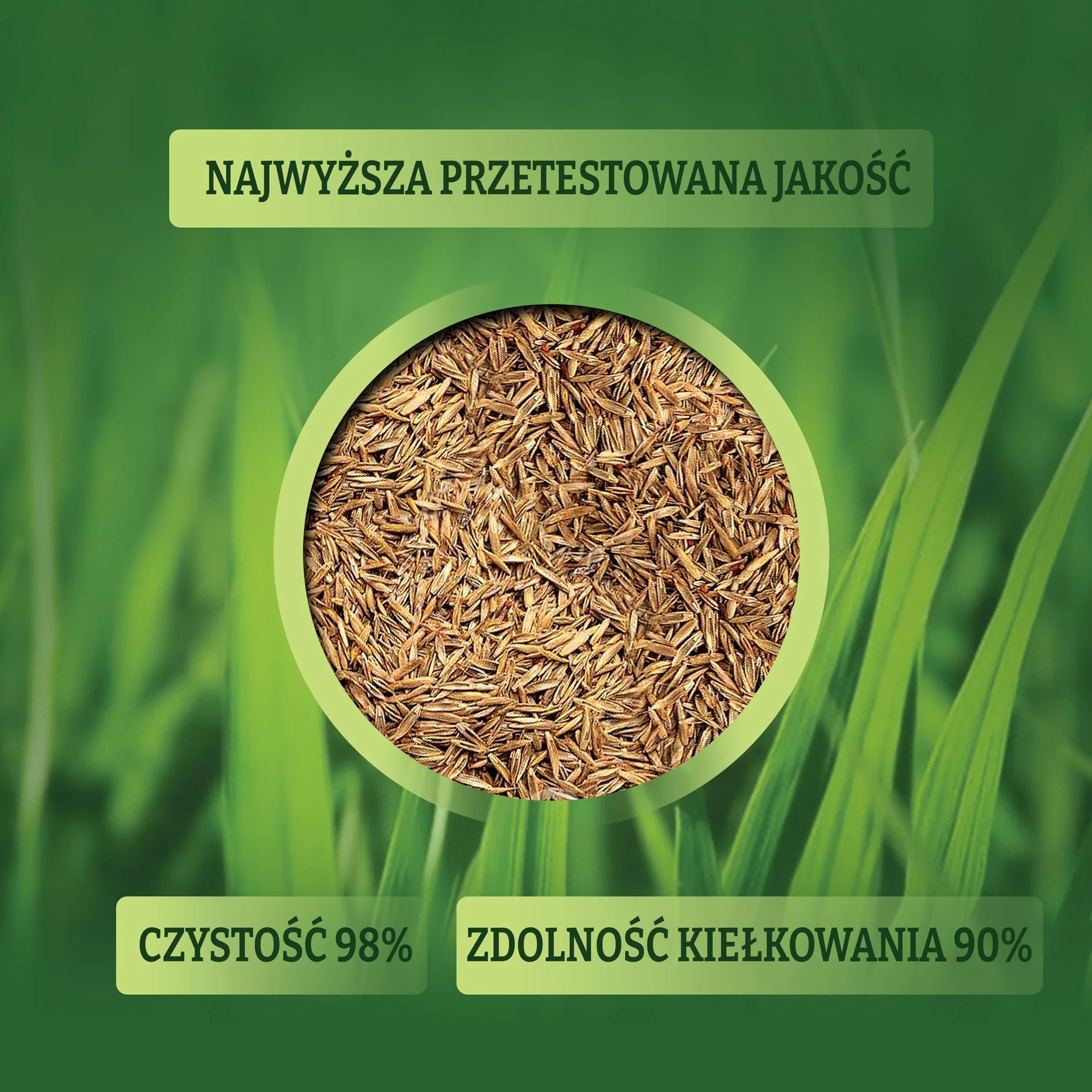 LERAVA Champion Nasiona Trawy odporne na suszę 30m² - trawnik o niskim zapotrzebowaniu na wodę - wytrzymały na deptanie - odpowiedni do wszystkich rodzajów gleby
