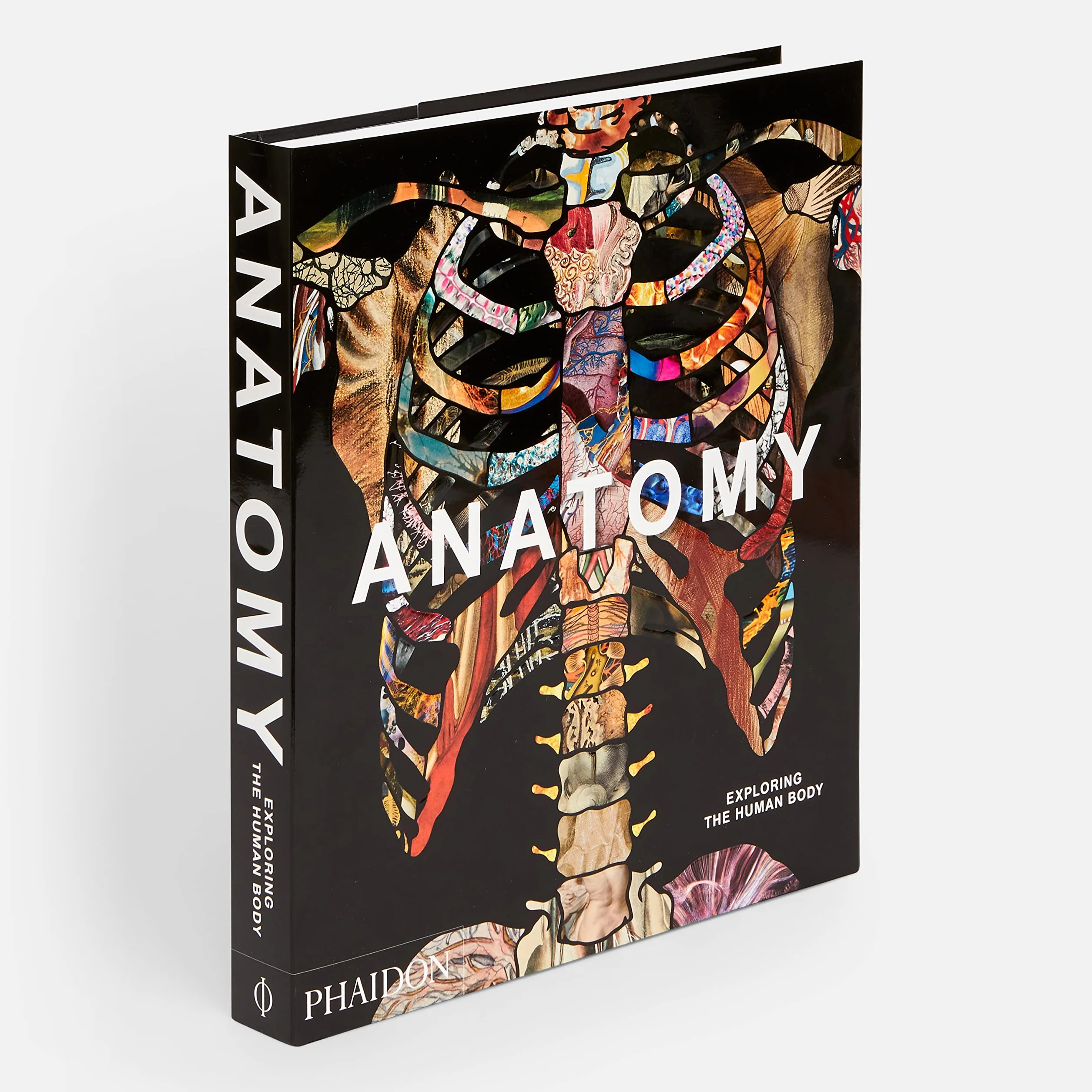 Anatomy: Exploring the Human Body