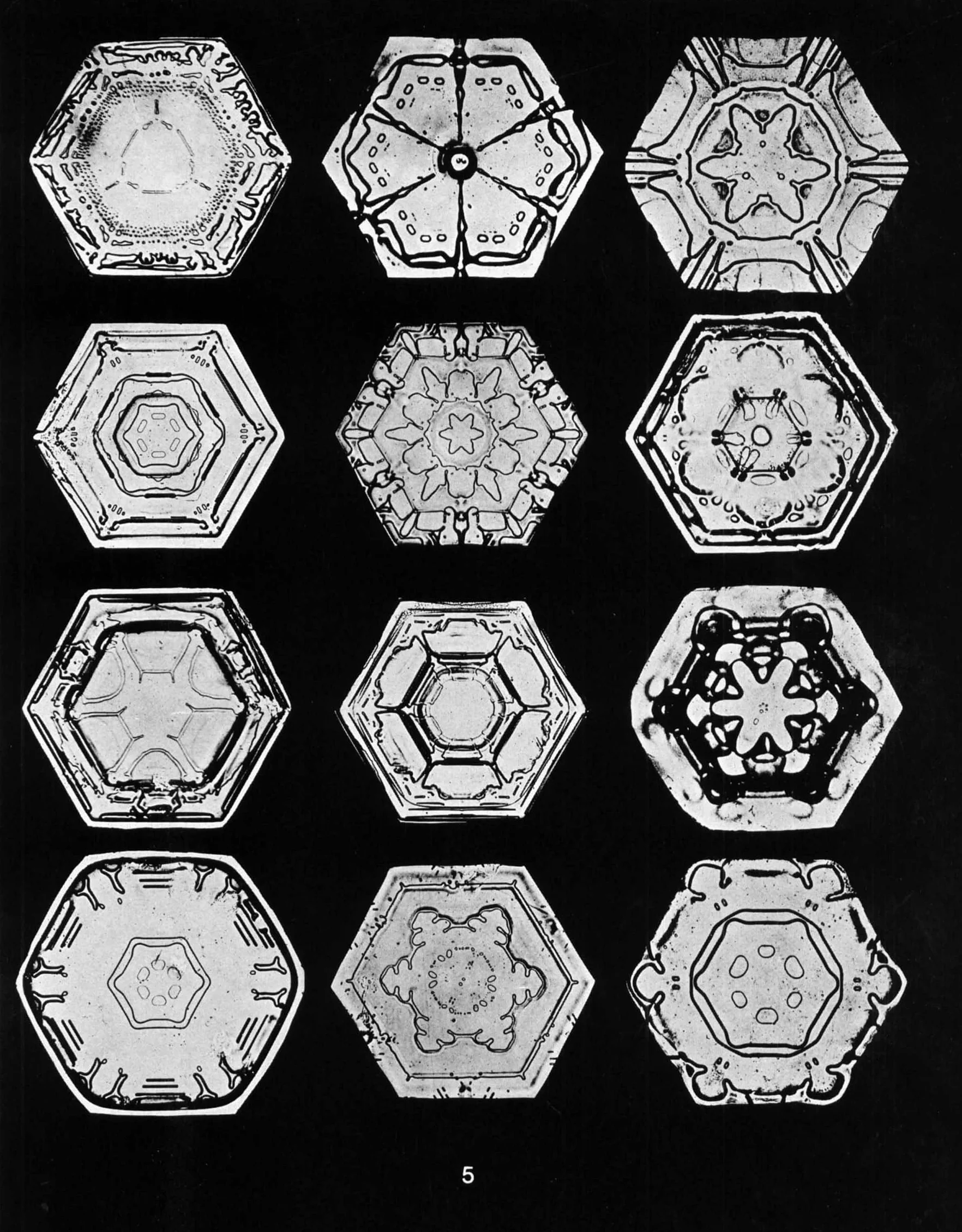Snowflakes in Photographs