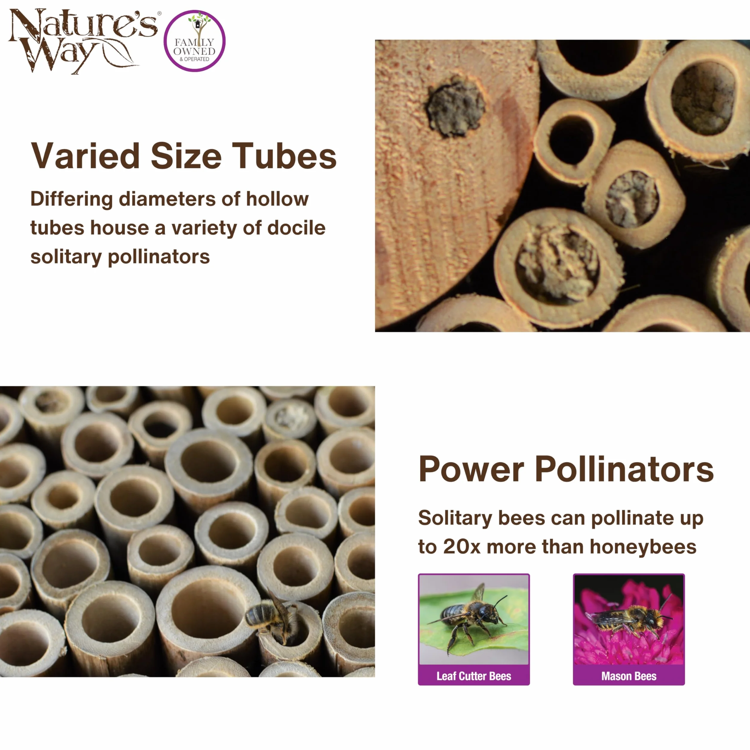 Nature's Way Produkty dla ptaków, PWH1-C, jasnoniebieski domek dla pszczół
