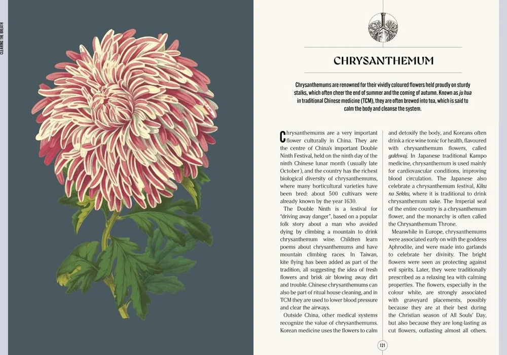 Kew: The Apothecary's Garden: The Science and Mythology of Medicinal Plants