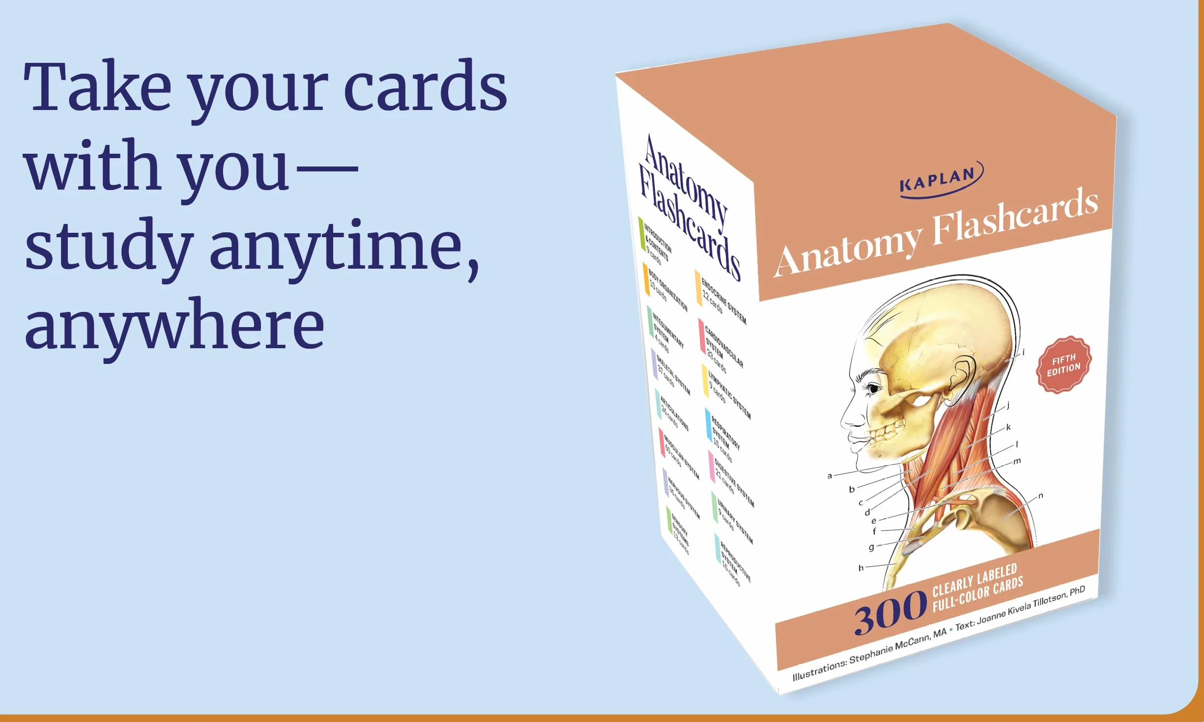 Anatomy Flashcards: 300 Flashcards with Anatomically Precise Drawings and Exhaustive Descriptions