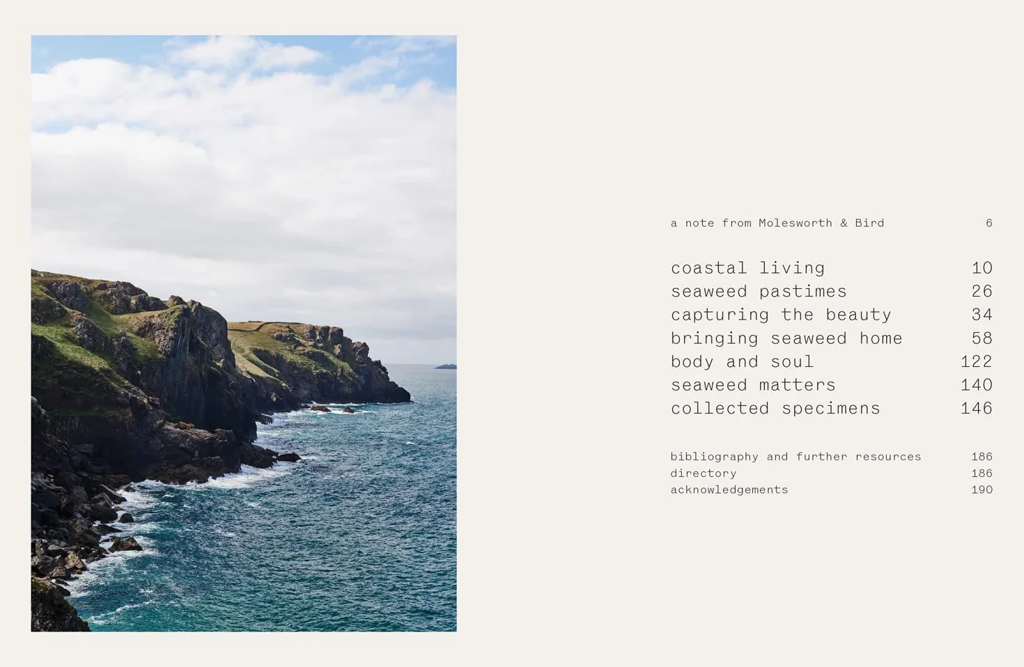 Seaweed: The sustainable guide to our oceans, with crafts, foraging, collecting and pressing