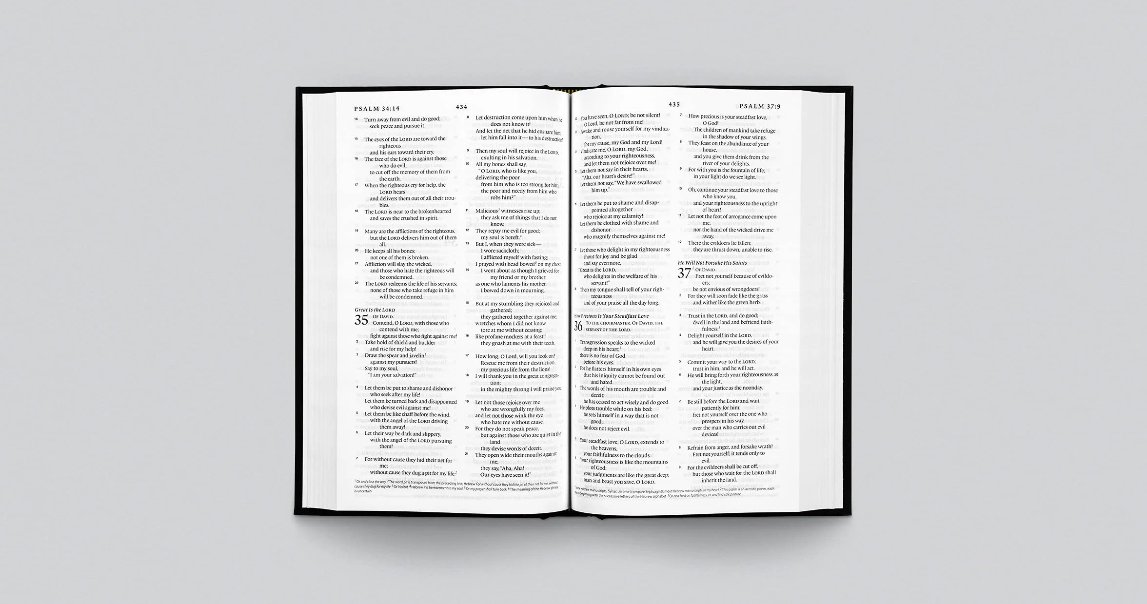 ESV Church Bible (Hardcover, Black)