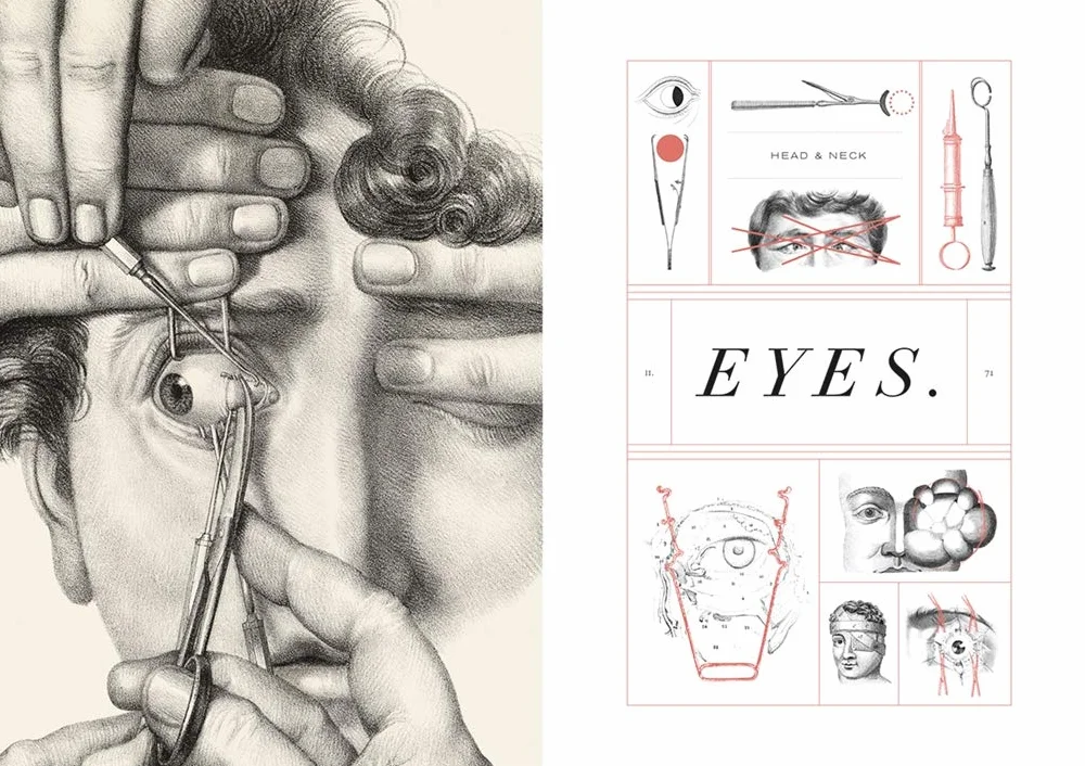 Crucial Interventions: An Illustrated Treatise on the Principles & Practice of Nineteenth-Century Surgery