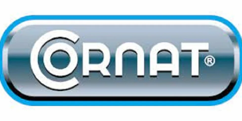 Cornat Plastic-Fermit V11021 Uszczelniacz, Biały, 500 g