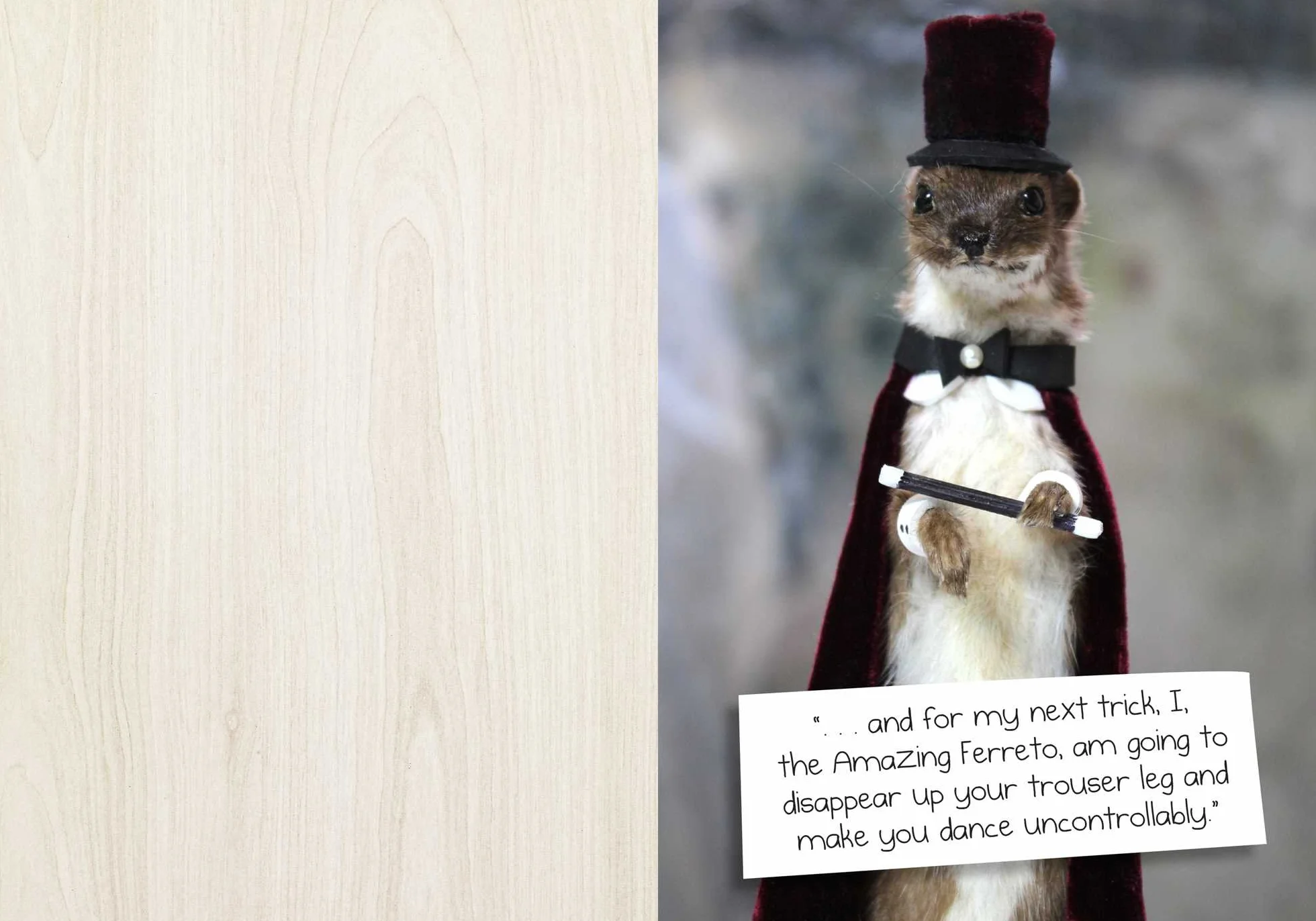 Much Ado about Stuffing: The Best and Worst of @CrapTaxidermy