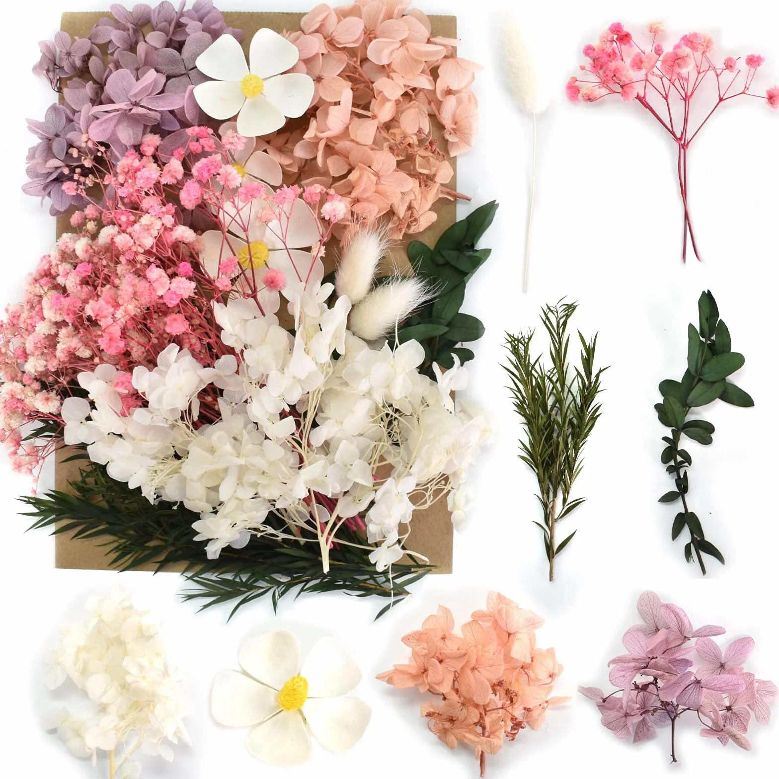 Suszone Kwiaty, prasowane naturalne suszone kwiaty, mieszanka suszonych kwiatów, zestaw suszonych kwiatów do makijażu, scrapbookingu, majsterkowania, dekoracji albumów, świec i DIY (białe i fioletowe)