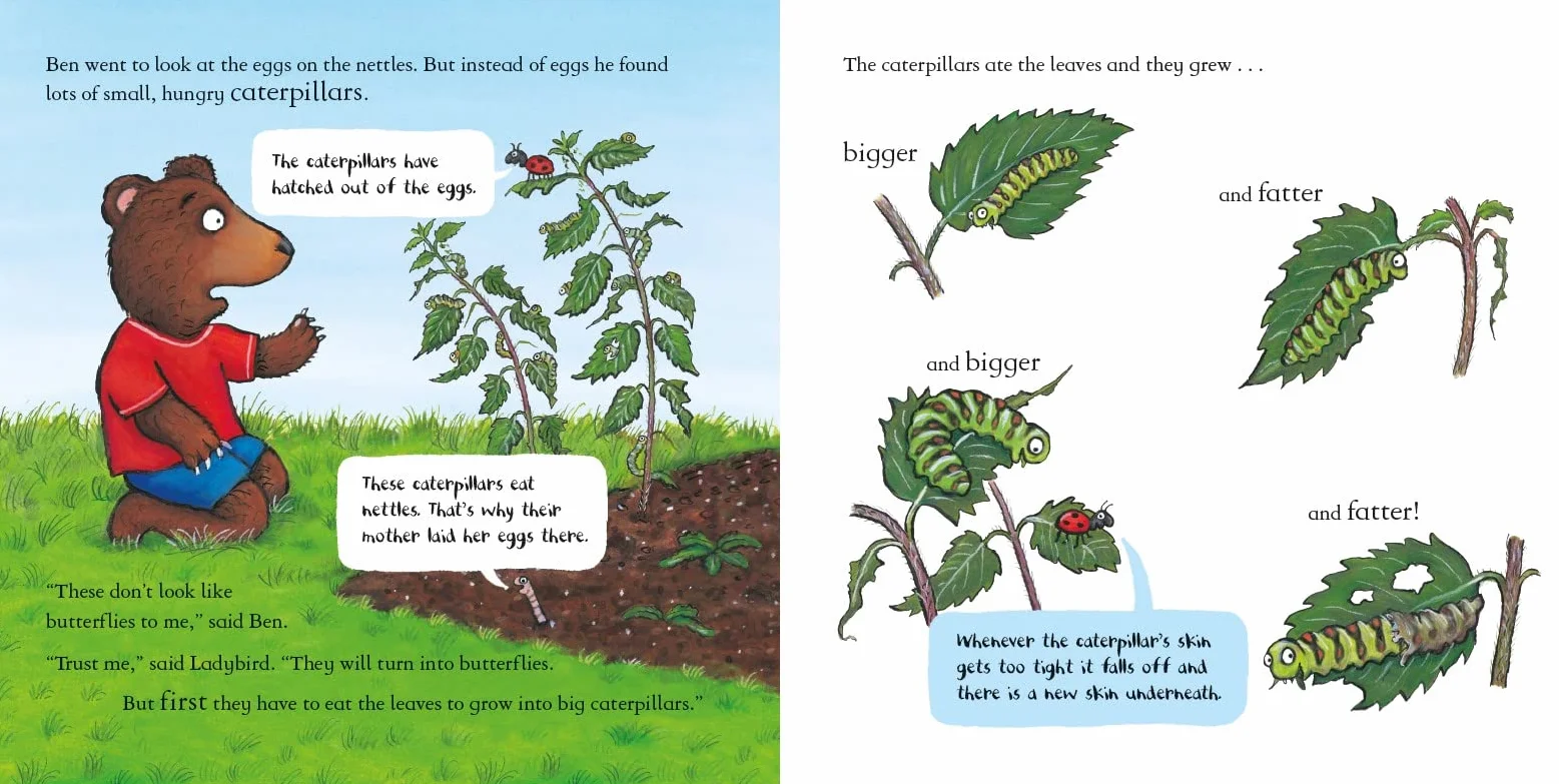National Trust: Ben Plants a Butterfly Garden