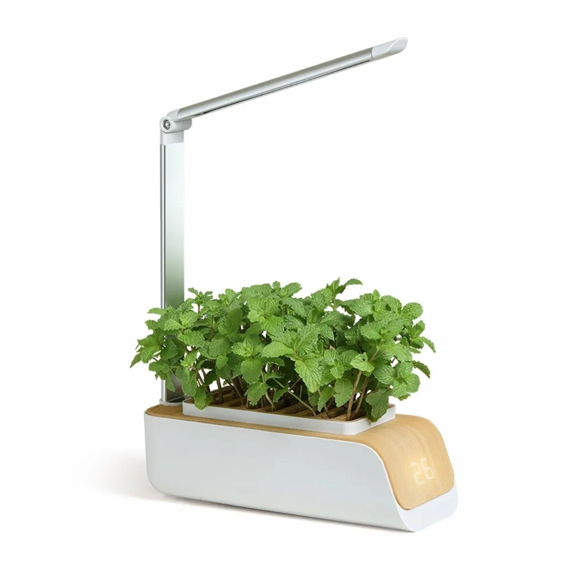 Mobiclinic®, Hydroponiczny system uprawy, Mini-grow, Światł do regulowana wysokość i kąt, Timer wody przypomnienie, Zestaw kiełkowania roślin, Automatyczna dioda led, 4, 5 w
