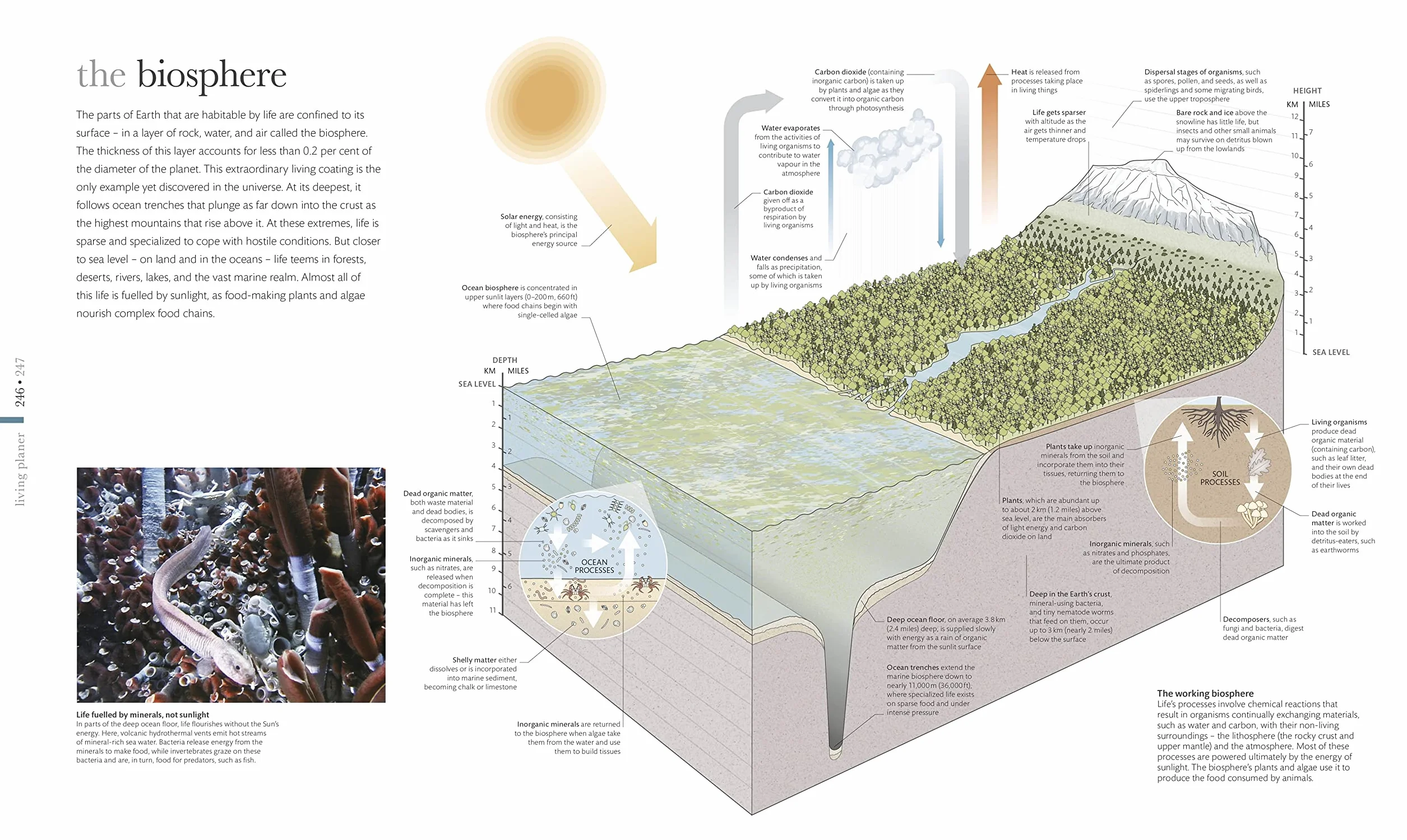 The Science of the Earth: The Secrets of Our Planet Revealed