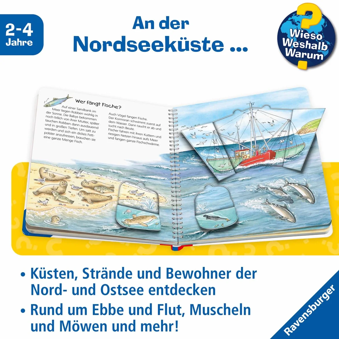 Wieso? Weshalb? Warum? junior, Band 17: Am Meer