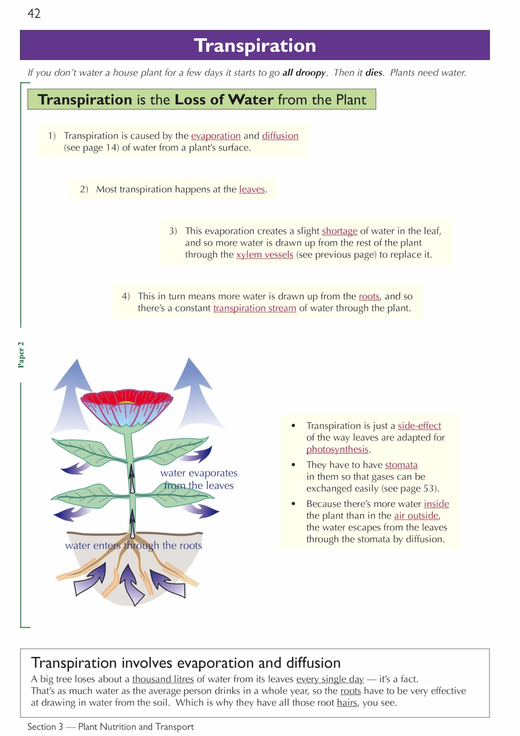 Edexcel International GCSE Biology Complete Revision & Practice: Includes Online Videos & Quizzes