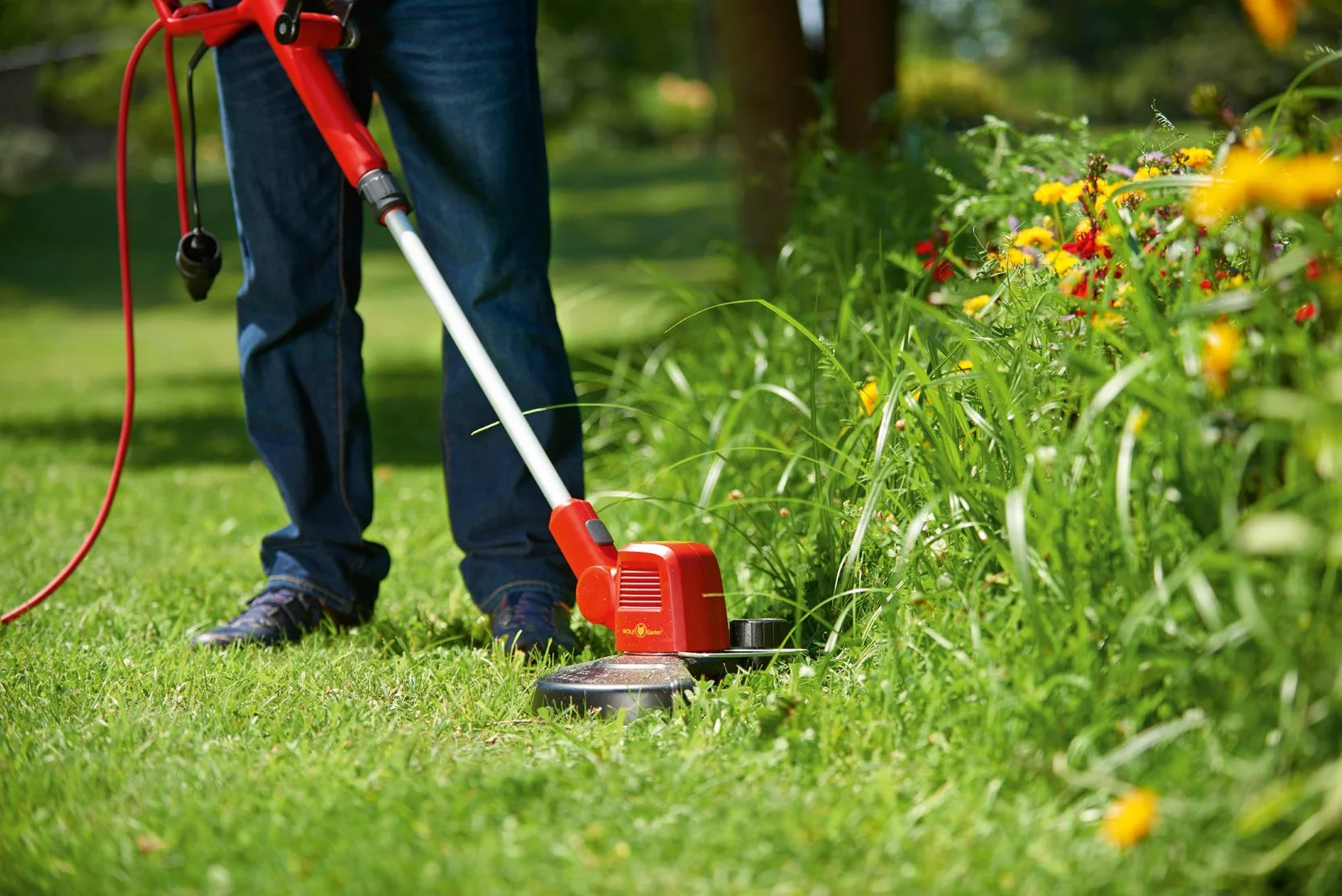 WOLF Garten WOLF Garten WOLF-Garten – elektryczny trymer LYCOS E/500 T #27CM 500W; 41AE5TET650