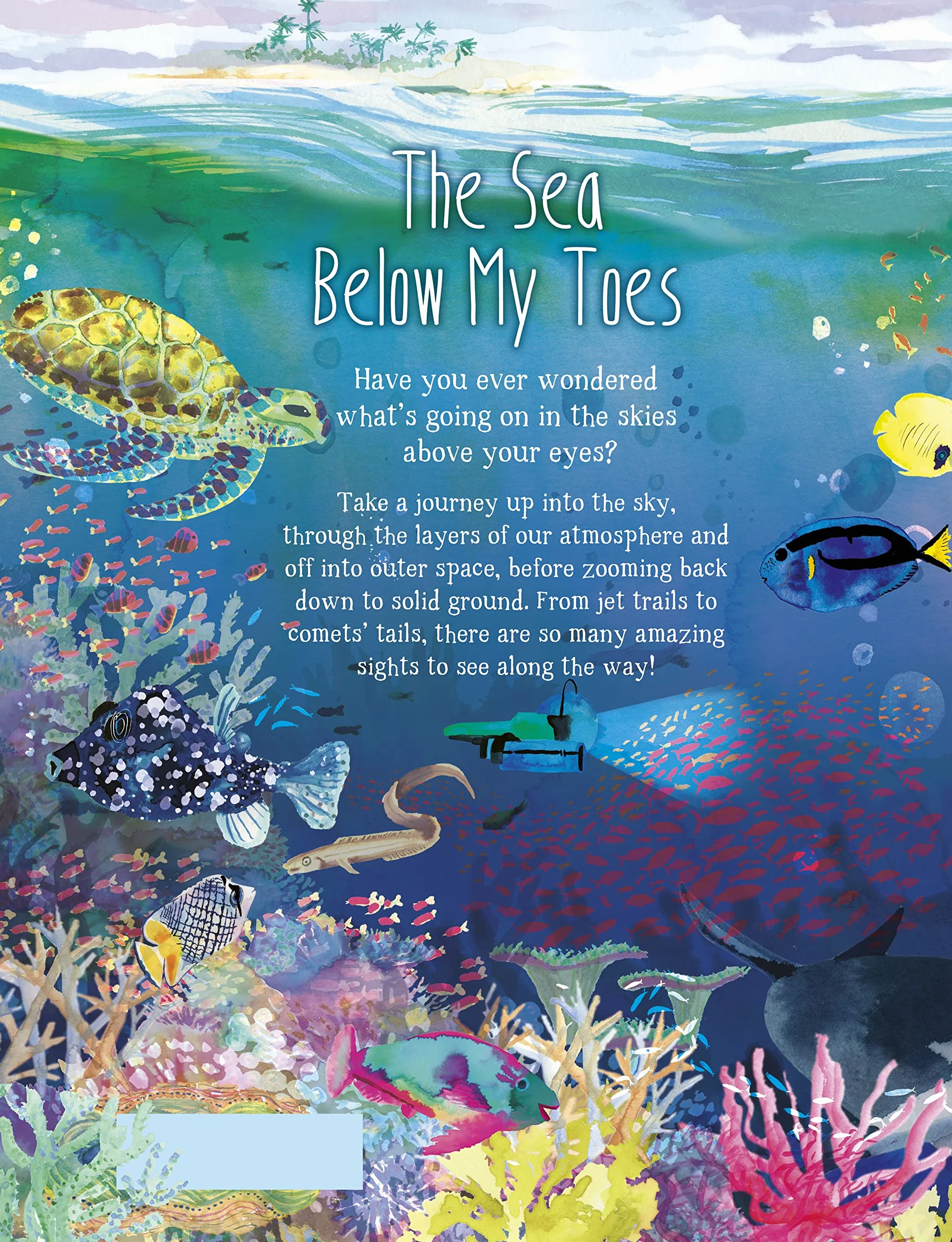 The Sea Below My Toes
