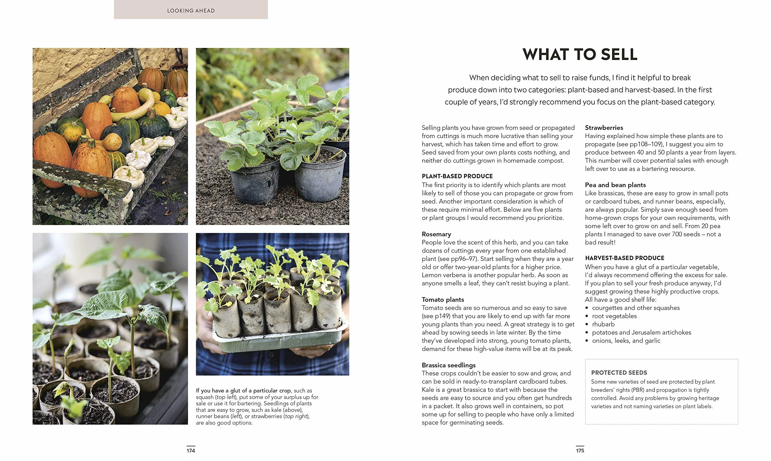 Grow Food for Free: The easy, sustainable, zero-cost way to a plentiful harvest