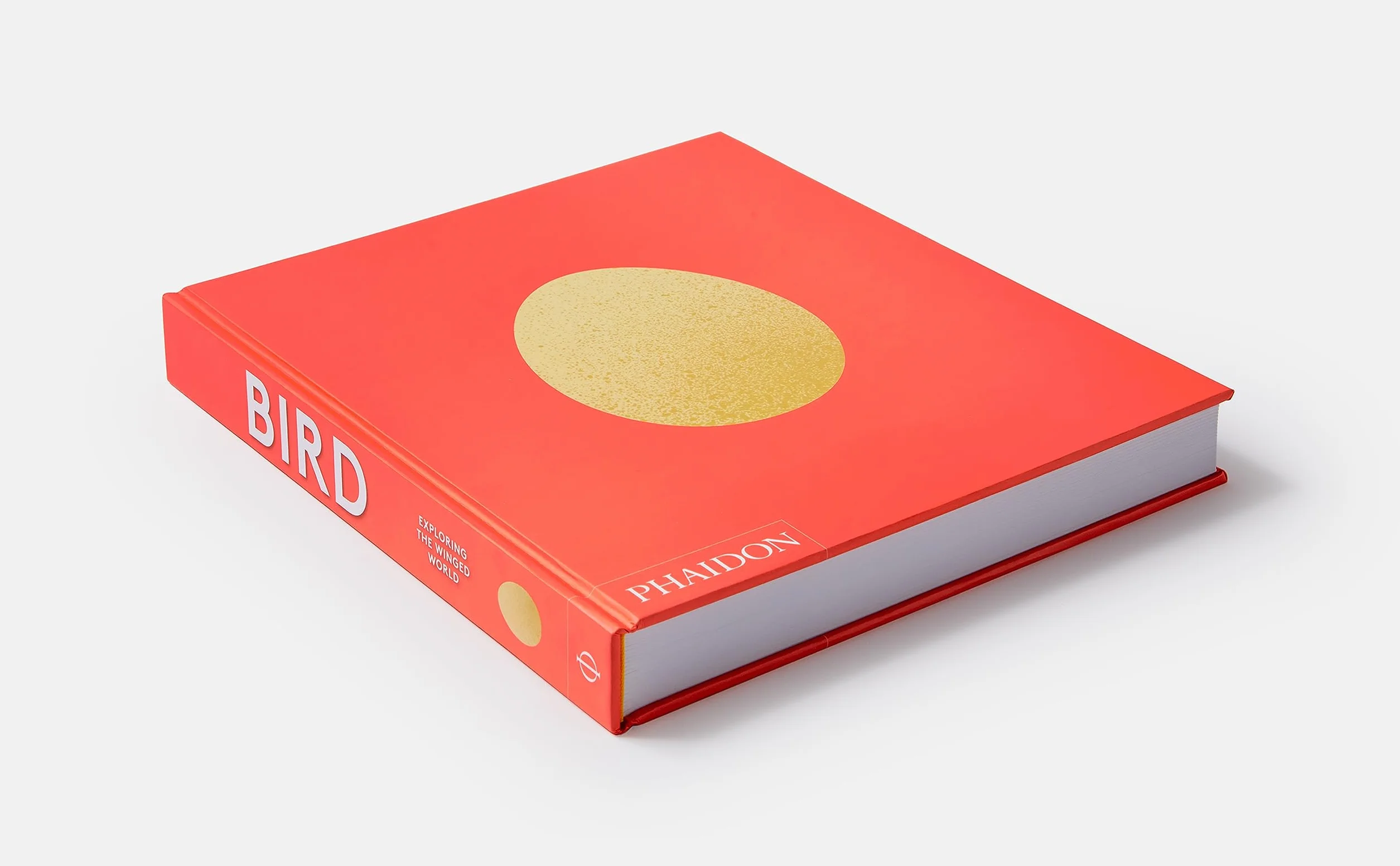 Bird: Exploring the winged world