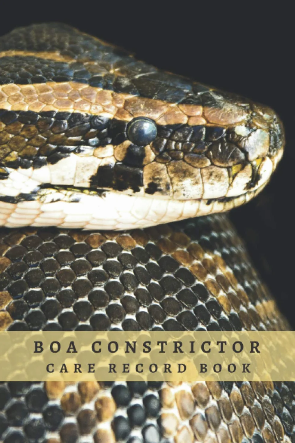 BOA CONSTRICTOR CARE RECORD BOOK: Complete Pet Profile, Vet Visits, Vaccinations, Food, Cleaning... | Medical & Health Journal | Gifts for Snake Lovers.
