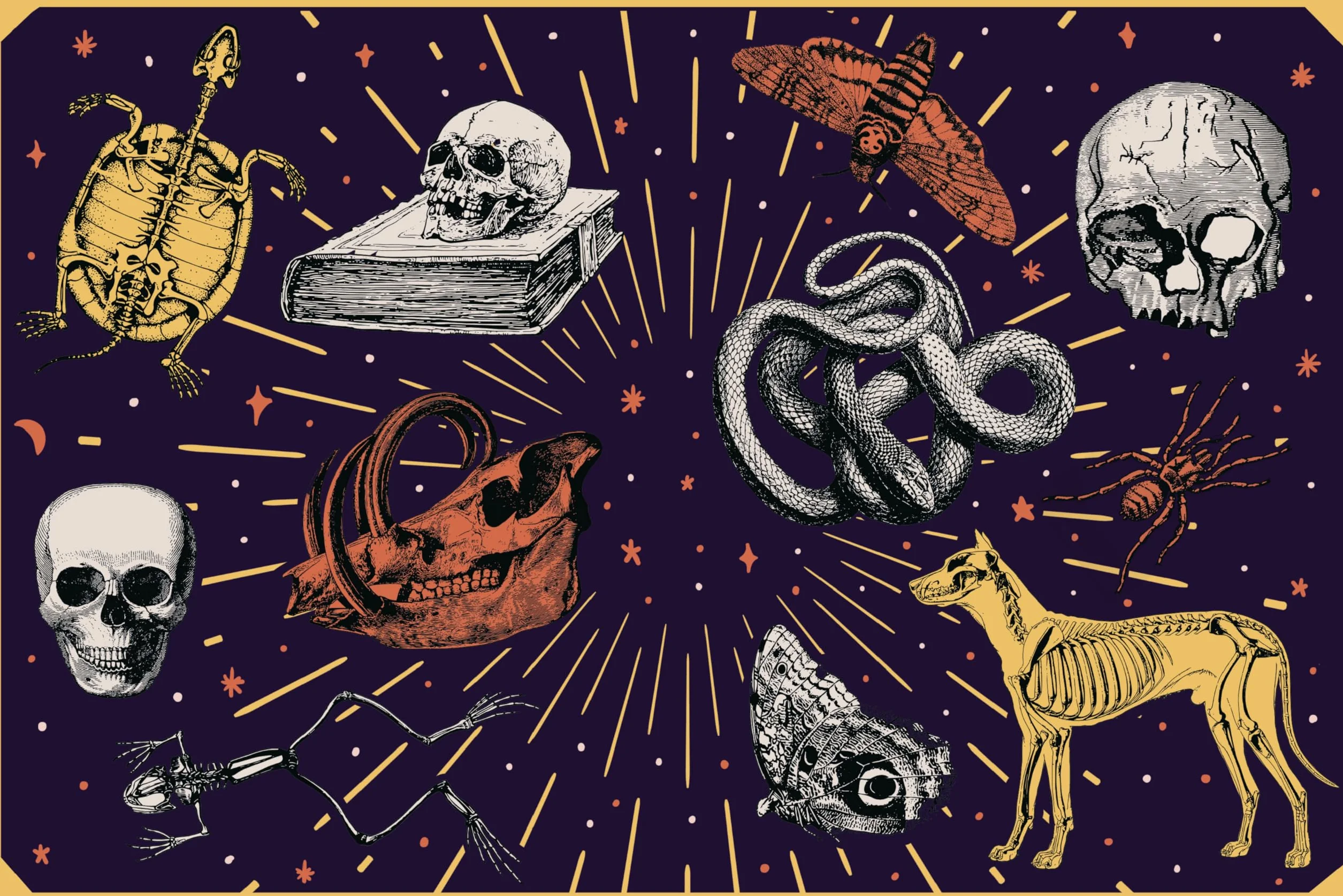 Stickertopium: Gorgeous Gothic: Over 400 Stunning Stickers
