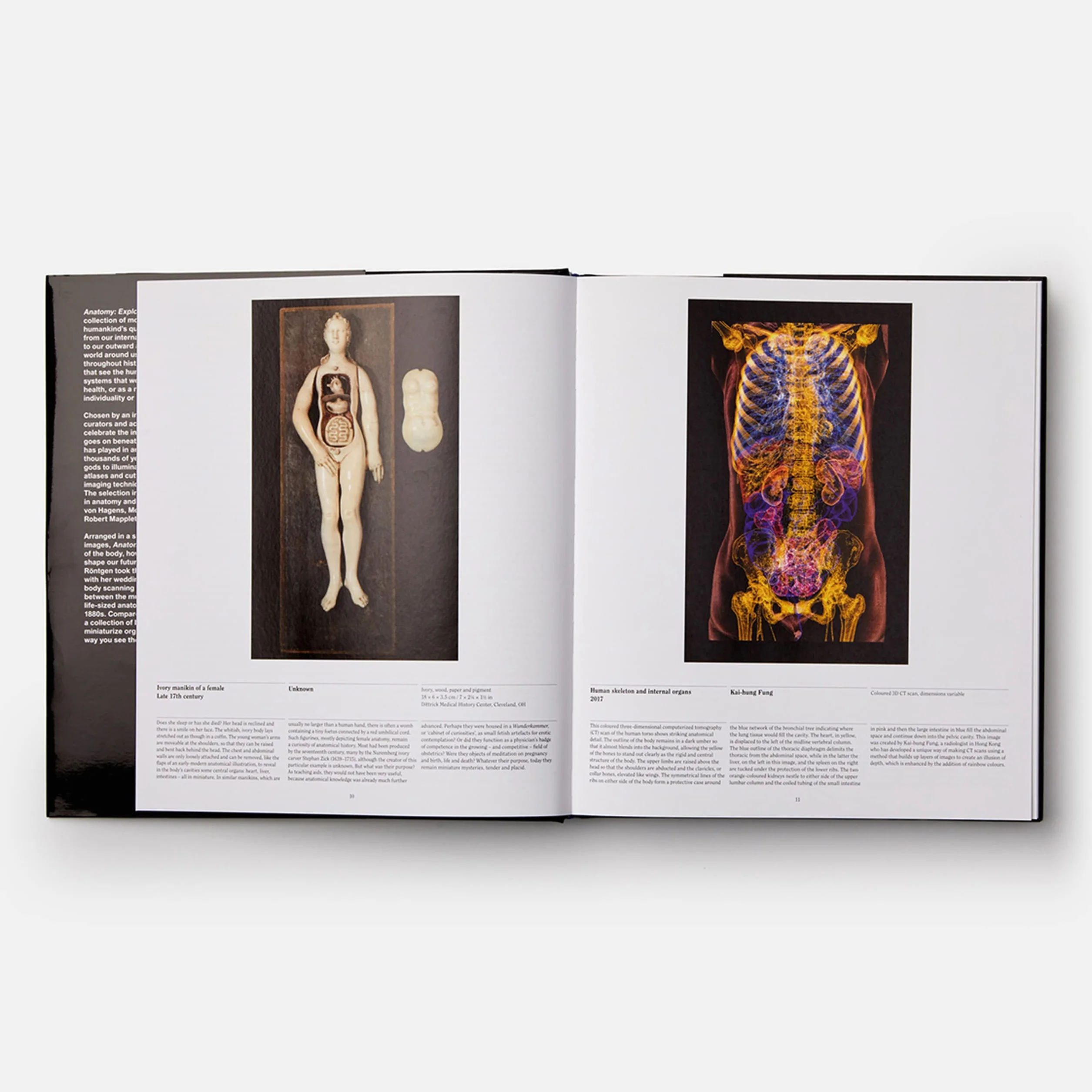 Anatomy: Exploring the Human Body