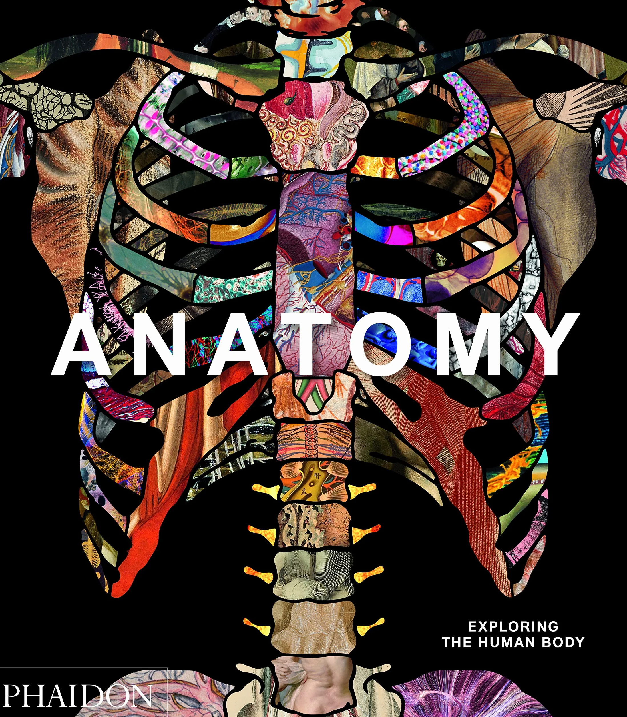 Anatomy: Exploring the Human Body
