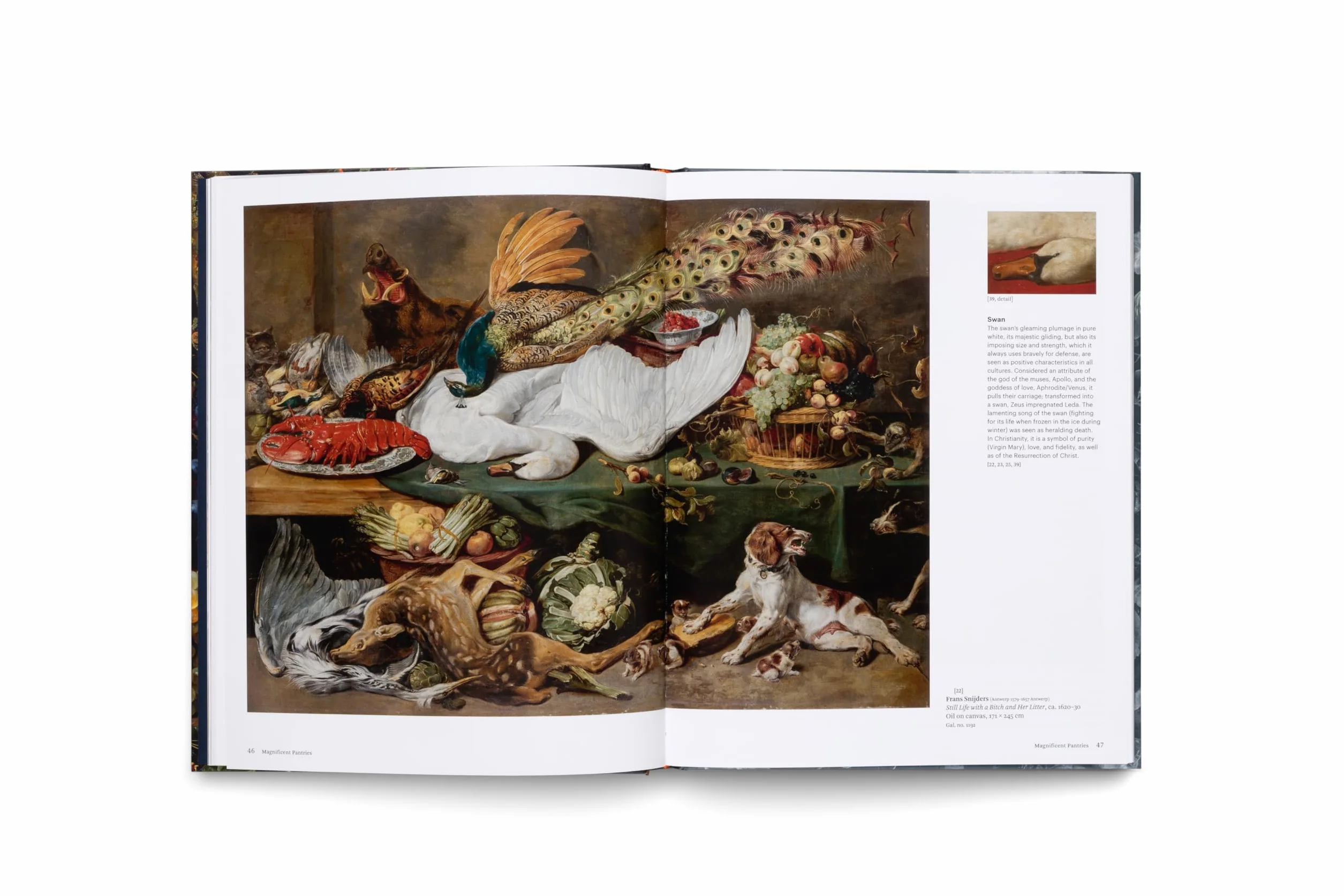 Still Life Timeless Beauty /anglais