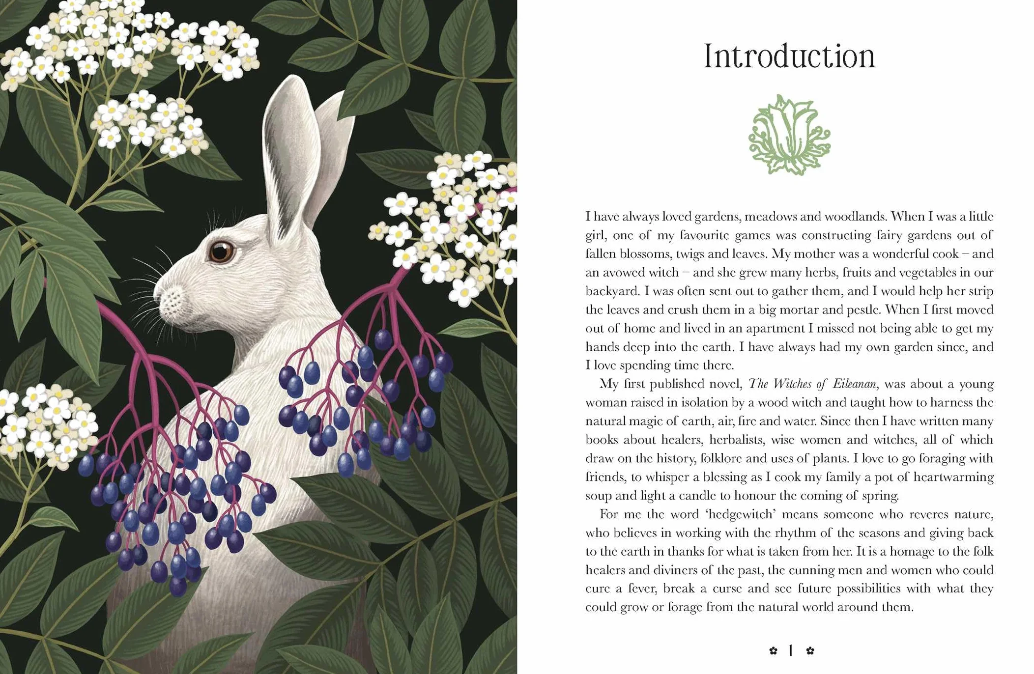 Kate Forsyth's Hedgewitch Oracle