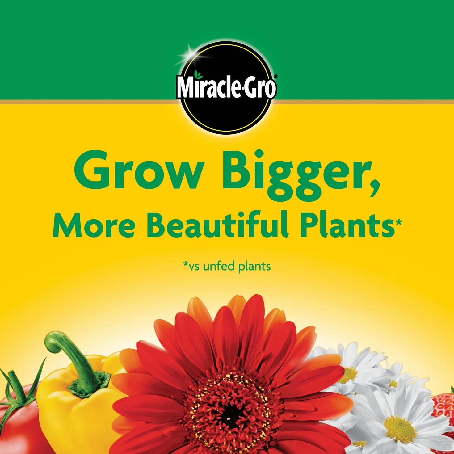 Miracle Gro rozpuszczalny w wodzie uniwersalny pokarm roślinny, 24 8 16, natychmiast nawozi rośliny, wodoodporna torba 2,3 kg.