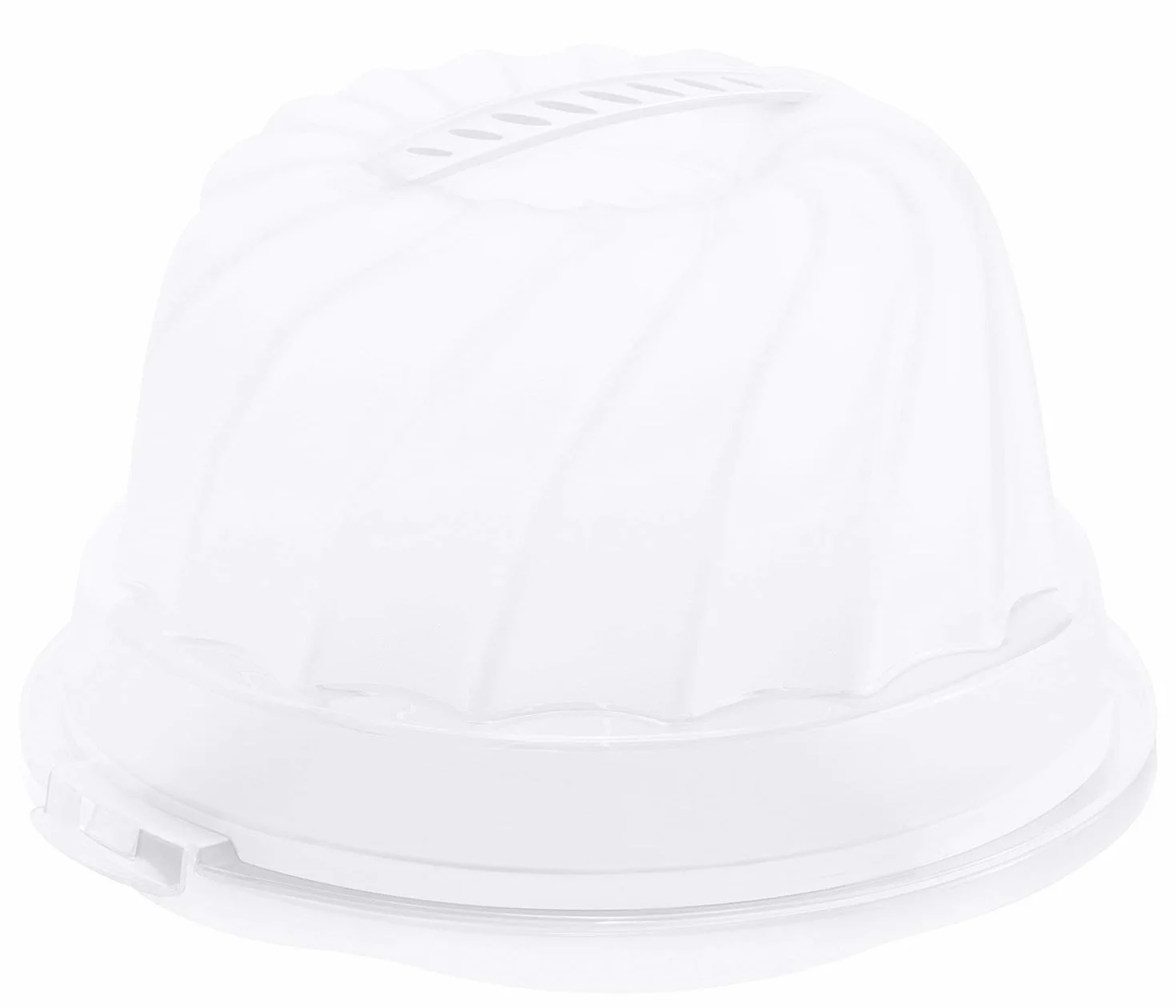 Rotho Fresh pojemnik na ciasto na babeczki z pokrywką i uchwytem, tworzywo sztuczne PP, biały/przezroczysty 30,5 x 28,5 x 17,5 cm