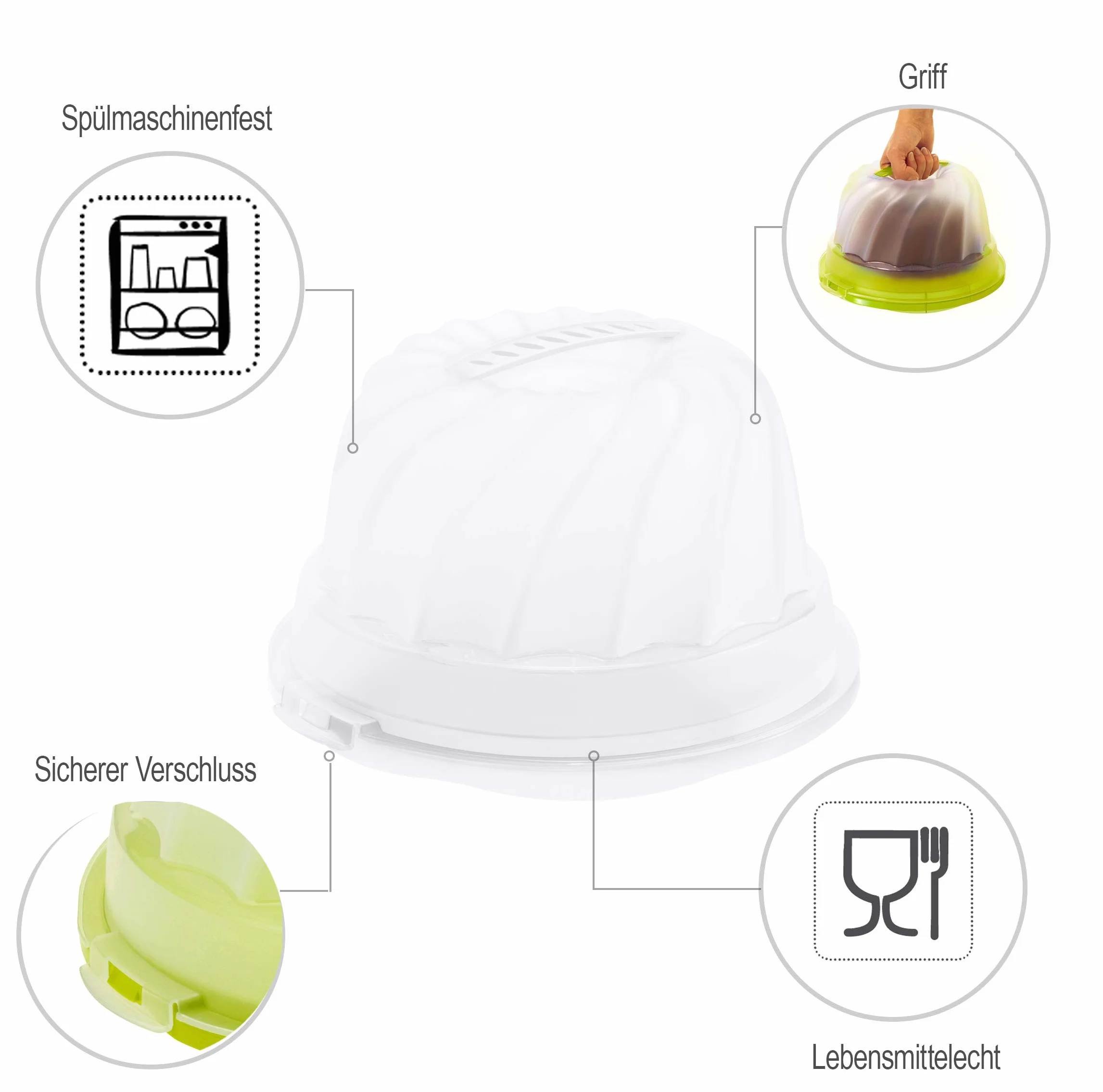 Rotho Fresh pojemnik na ciasto na babeczki z pokrywką i uchwytem, tworzywo sztuczne PP, biały/przezroczysty 30,5 x 28,5 x 17,5 cm
