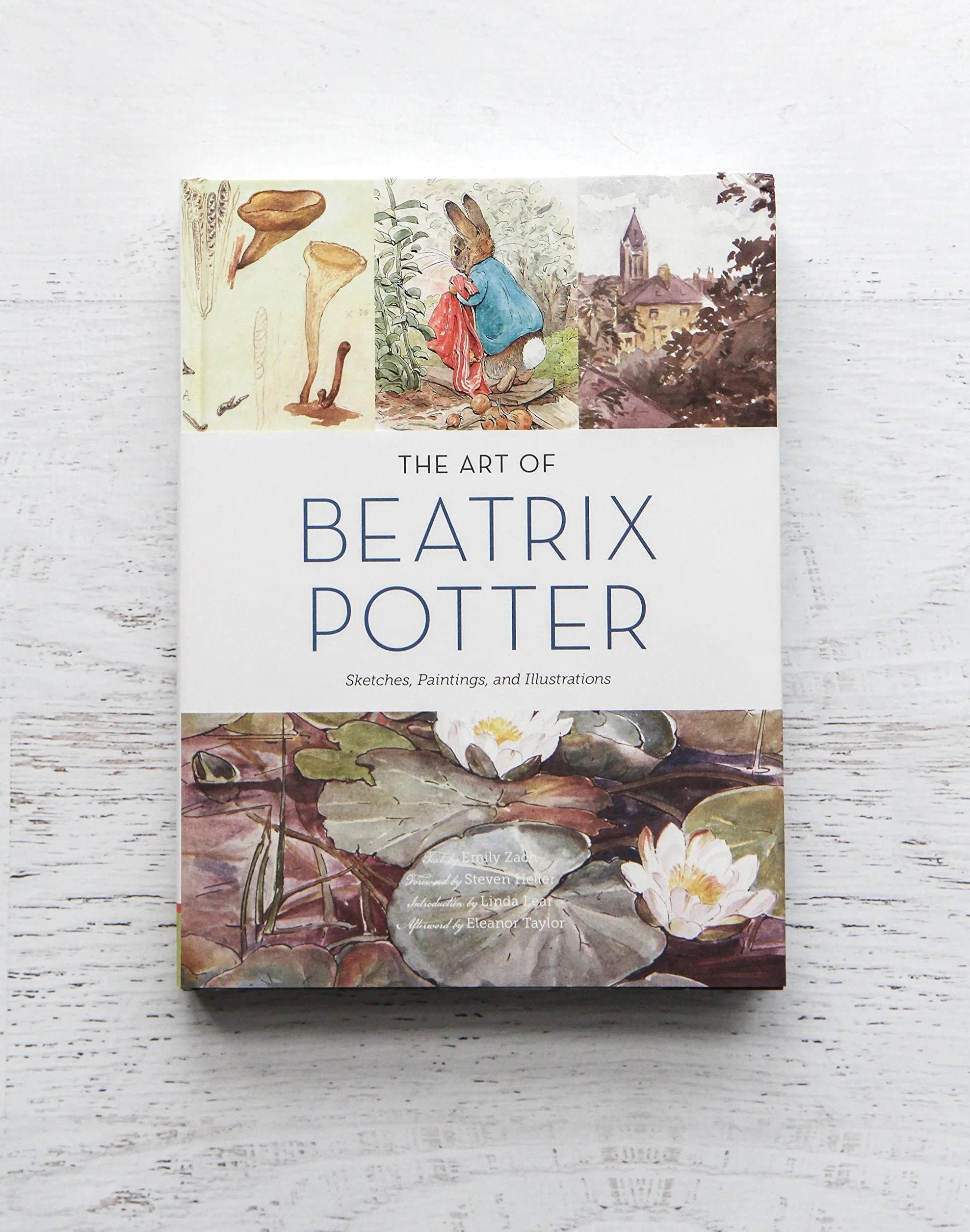 The Art of Beatrix Potter: Sketches, Paintings, and Illustrations