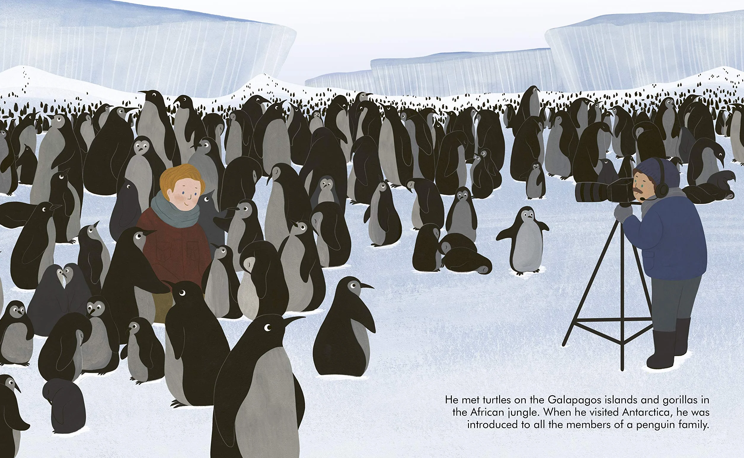 Little People, BIG DREAMS: Advent Calendar Book Collection: 2025 Edition