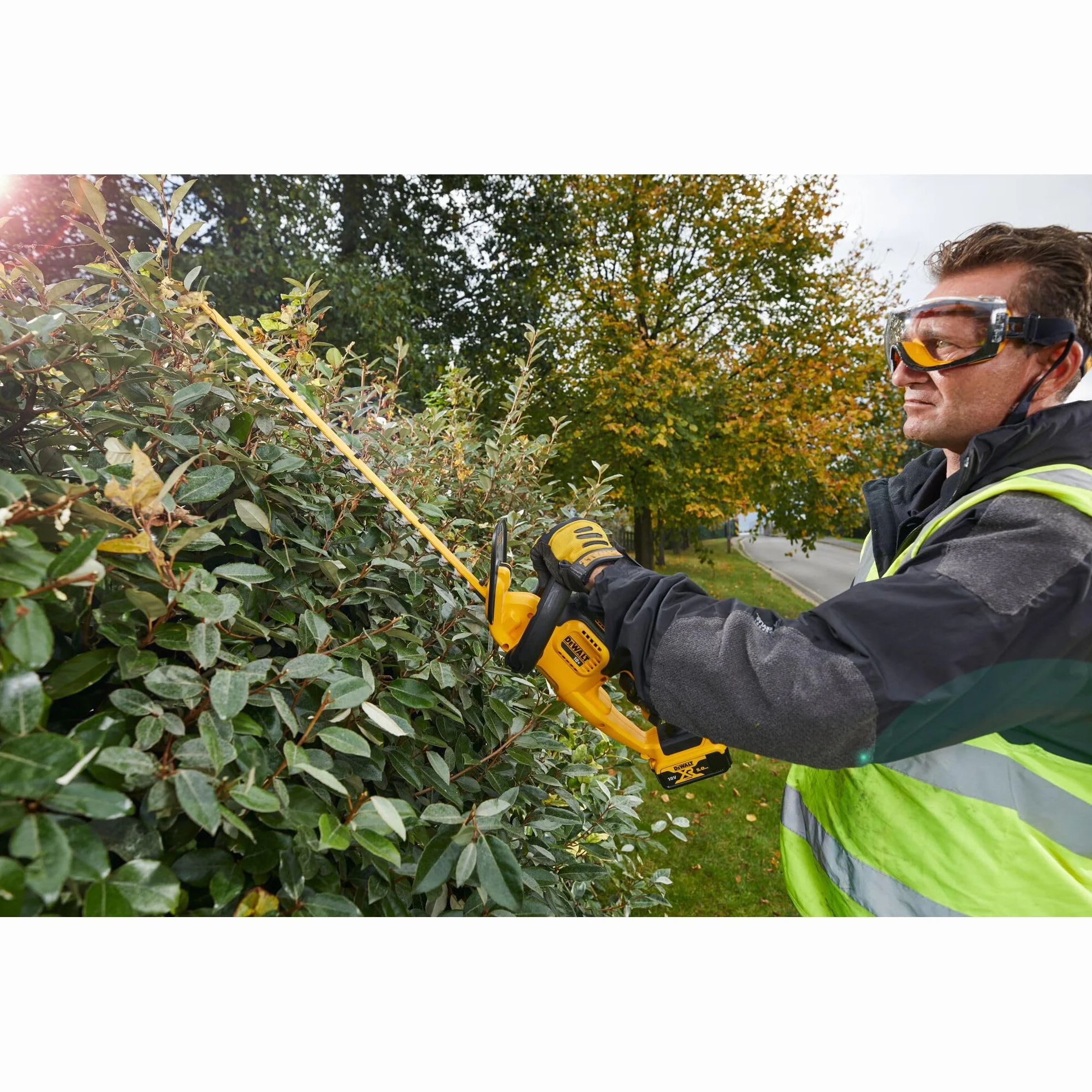 Dewalt DCM563PB-GB Nożyce do Żywopłotu, 18 V, Żółty/Czarny, 55 cm, 19 mm