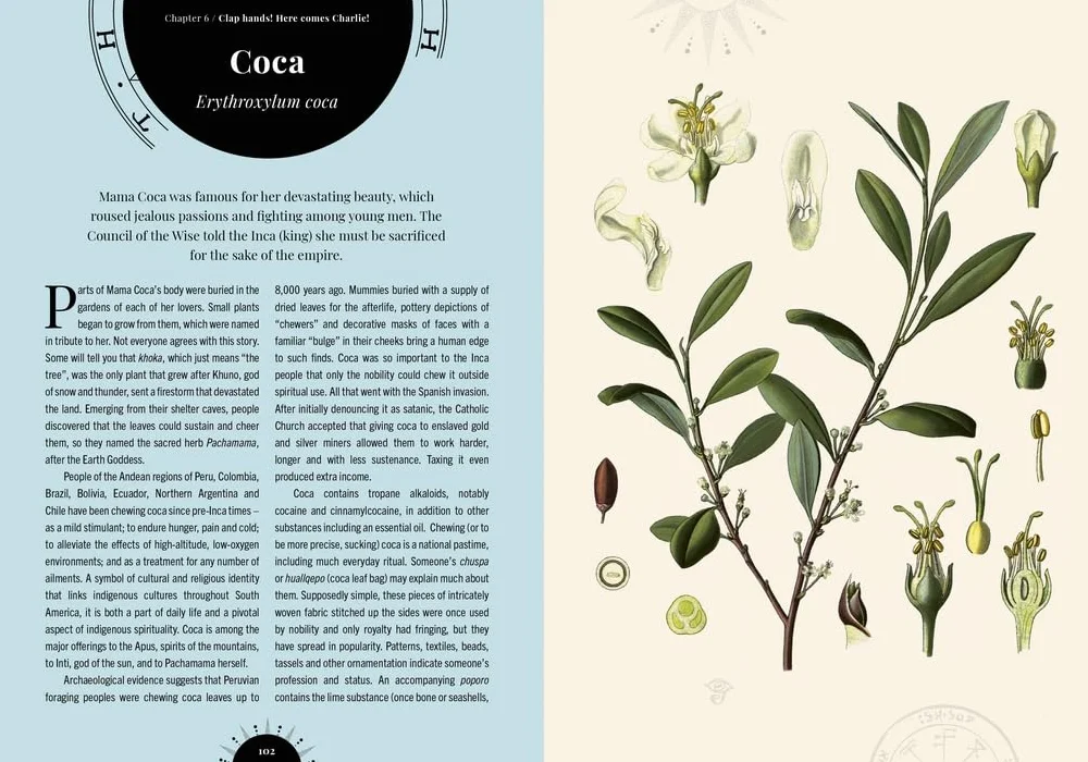 The Psychedelic Garden: Mind-Altering Plants in Folklore, Superstition and Popular Culture
